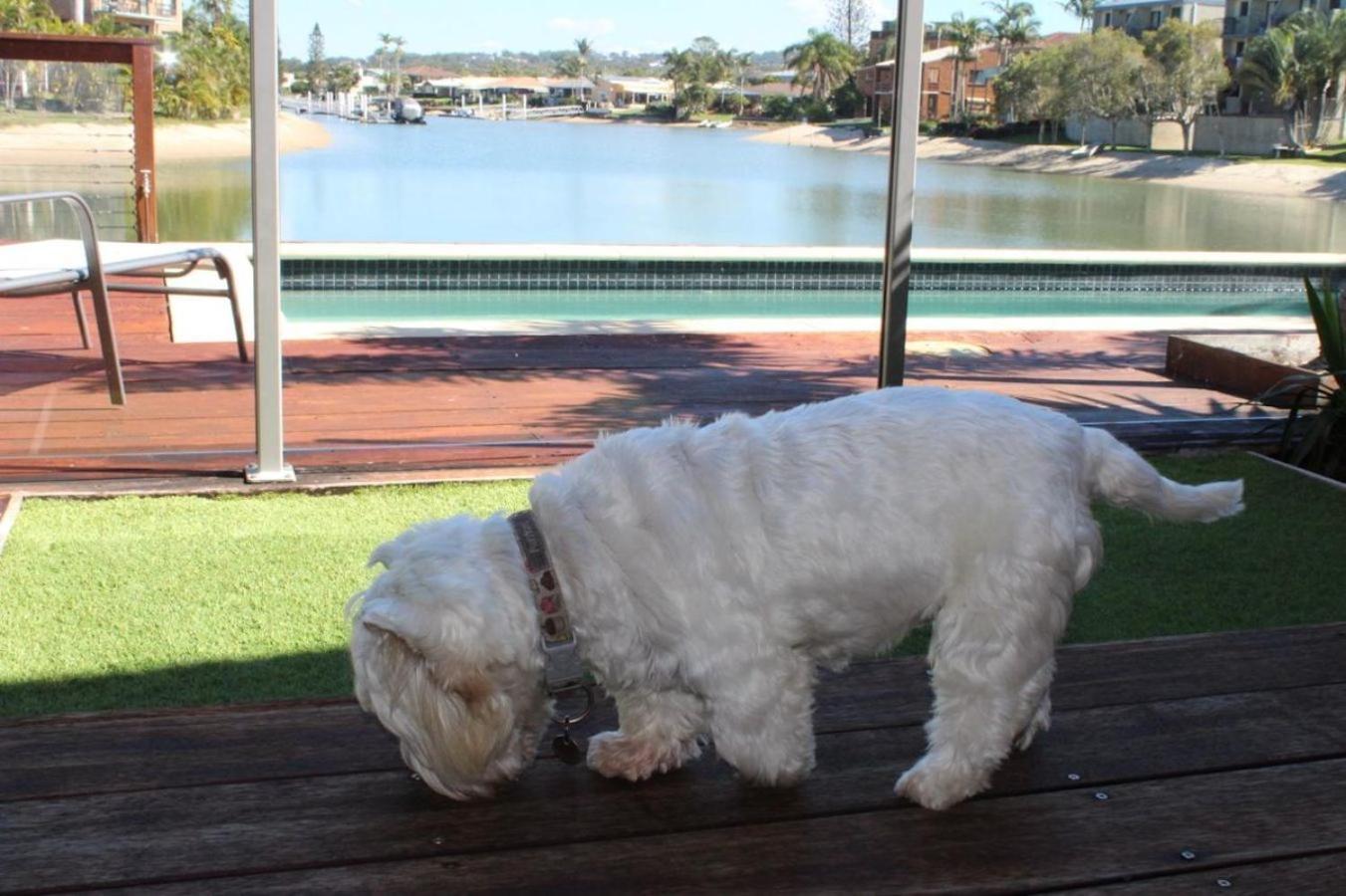 Saltwater Villas - Pet Friendly Accommodation, photo 27