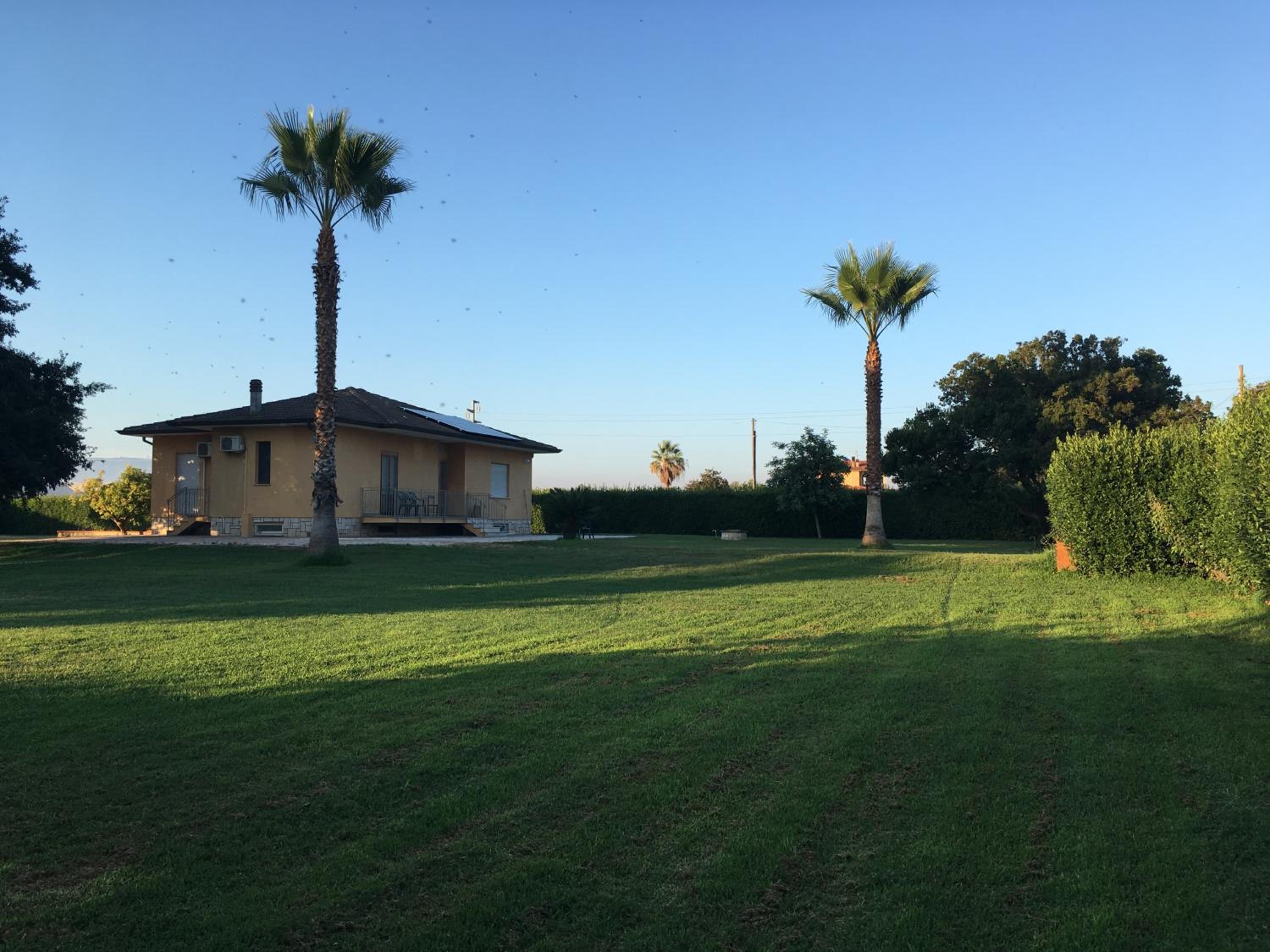 Photo 17