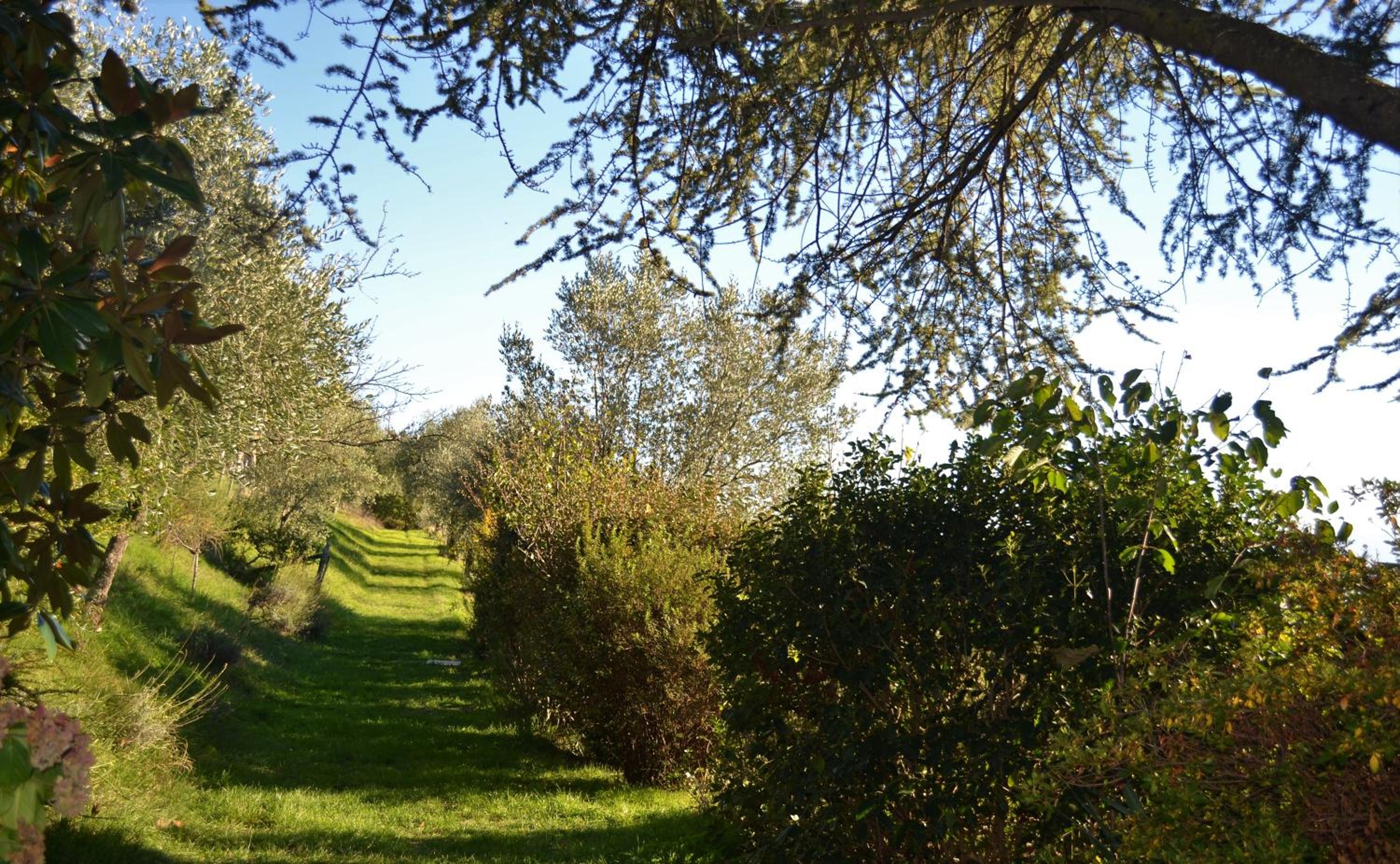 Photo 21