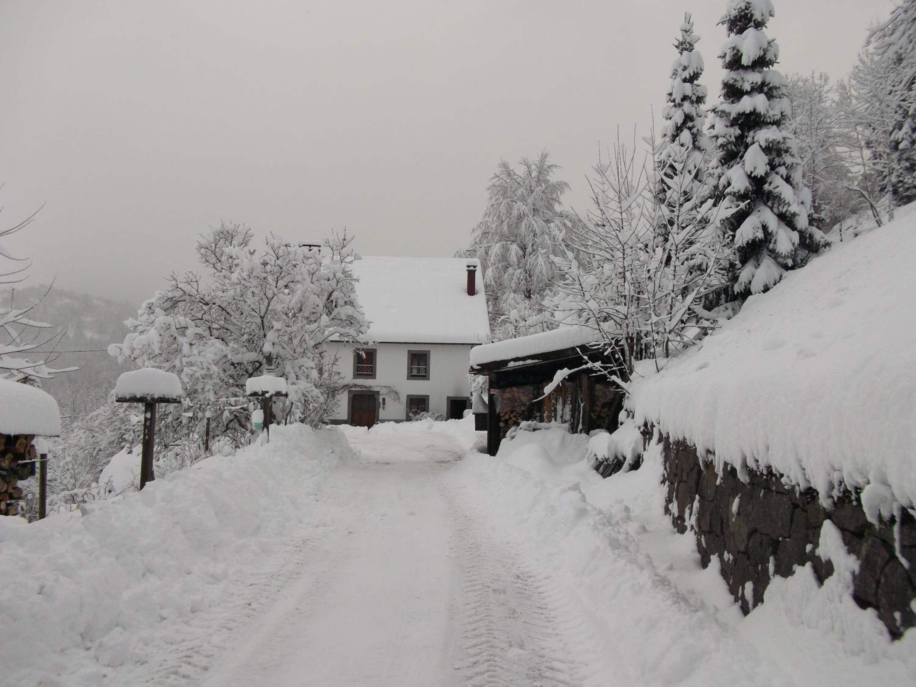 La Ferme du Vieux Sapin view 4