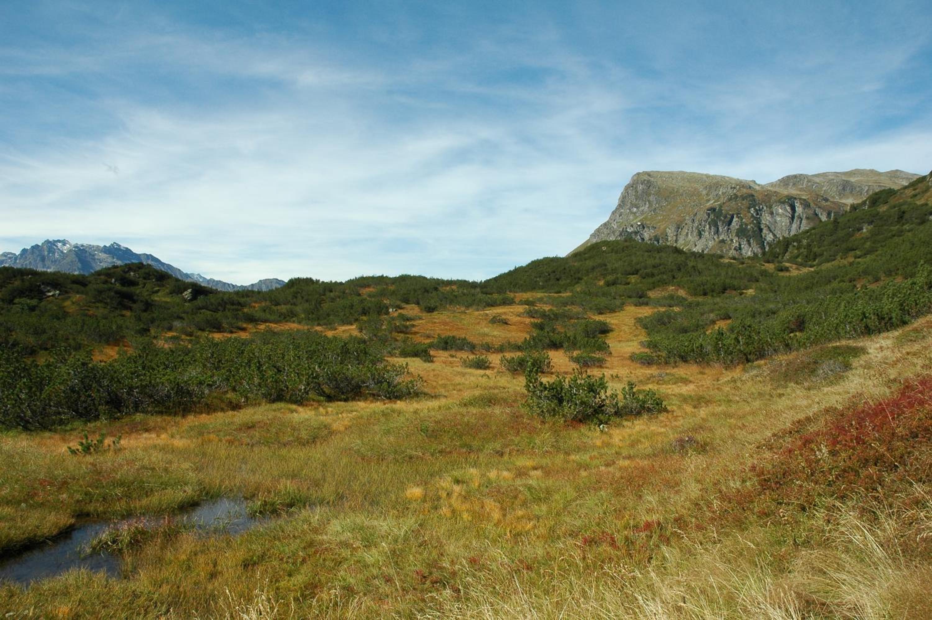 Photo 27