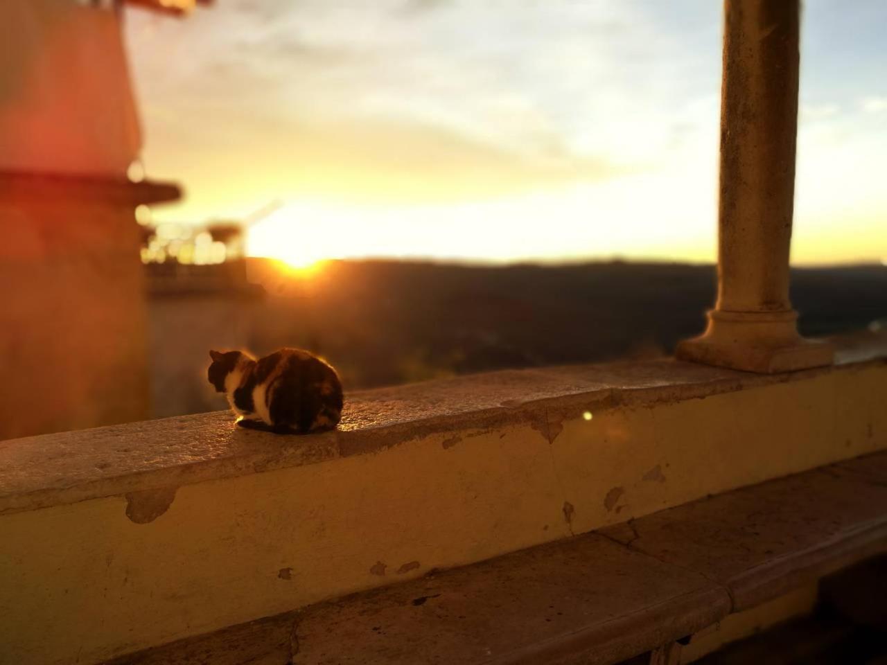 Villa Borgo B&B