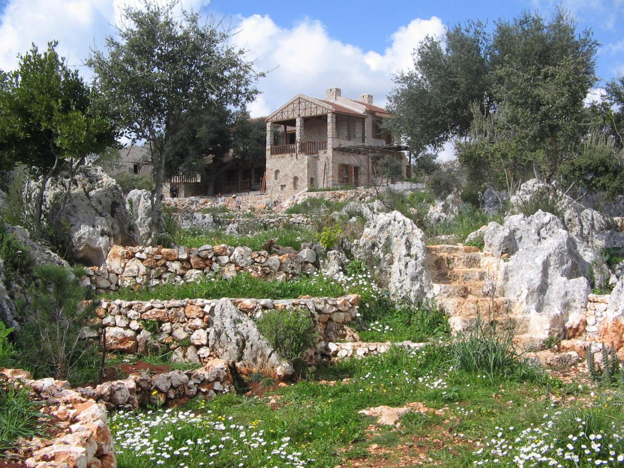 Photo 10