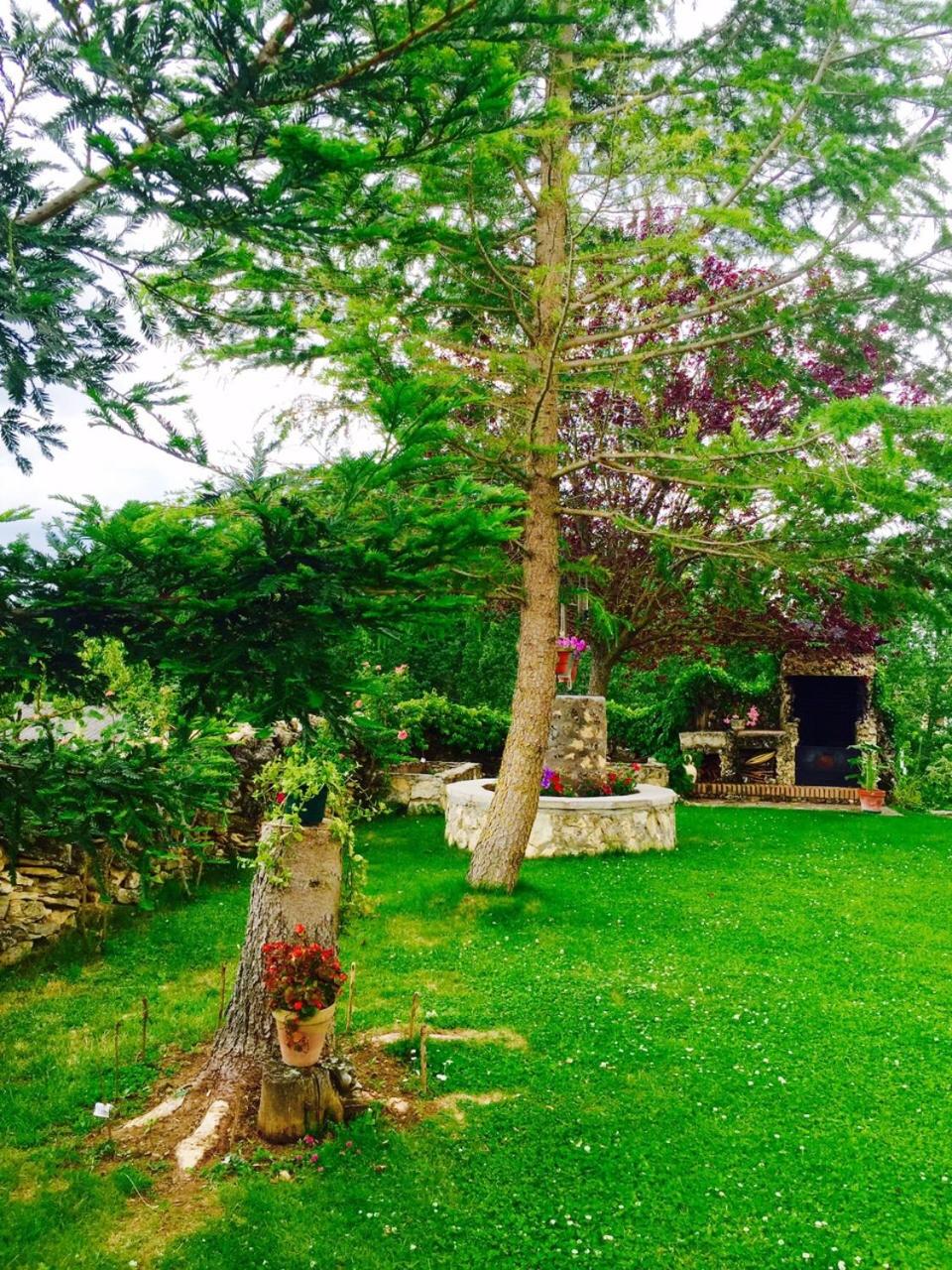 Casa Rural El Covanchón view 2