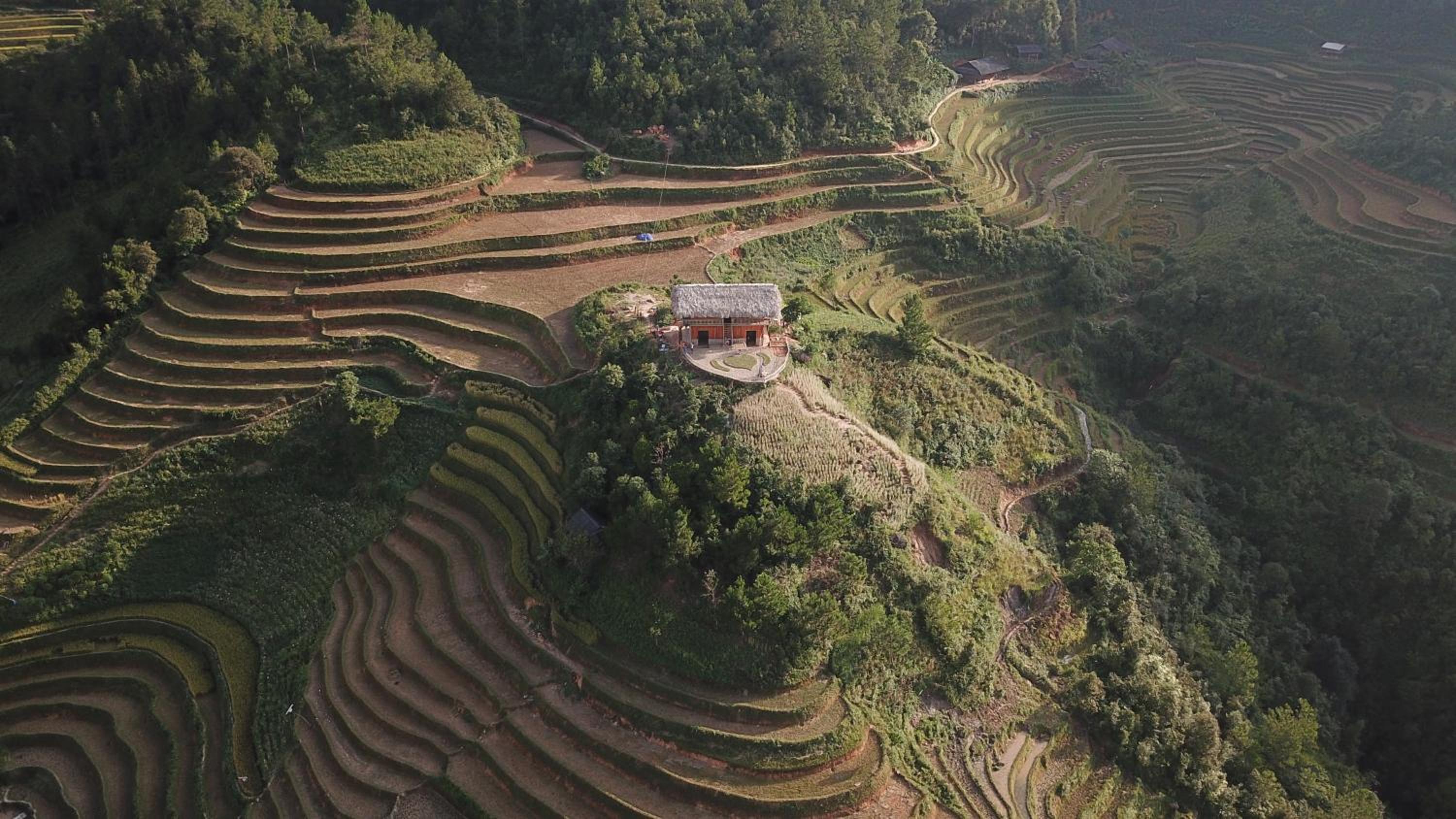 Hello Mu Cang Chai Homestay & Tours