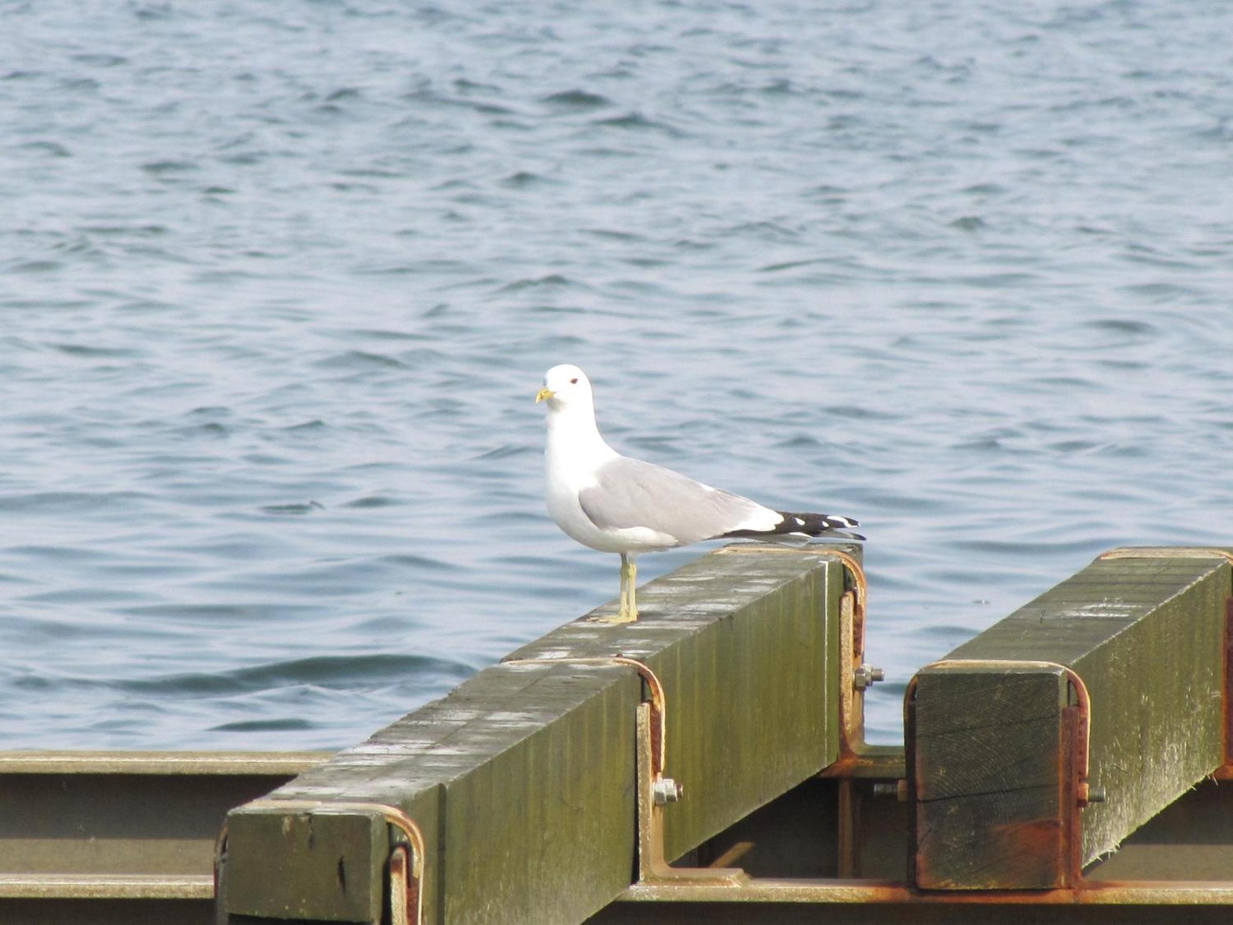 Photo 40