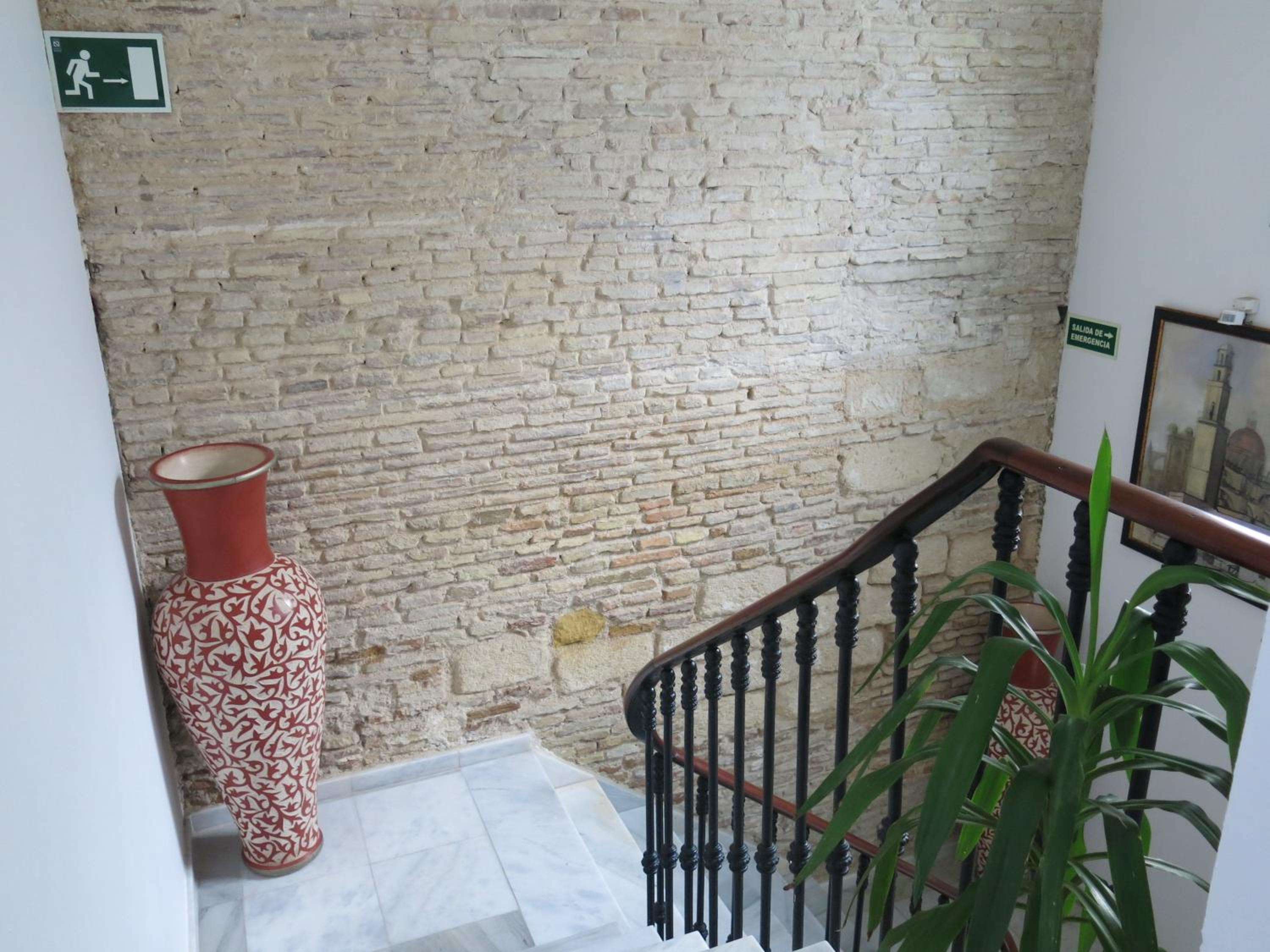 Hostal Fenix