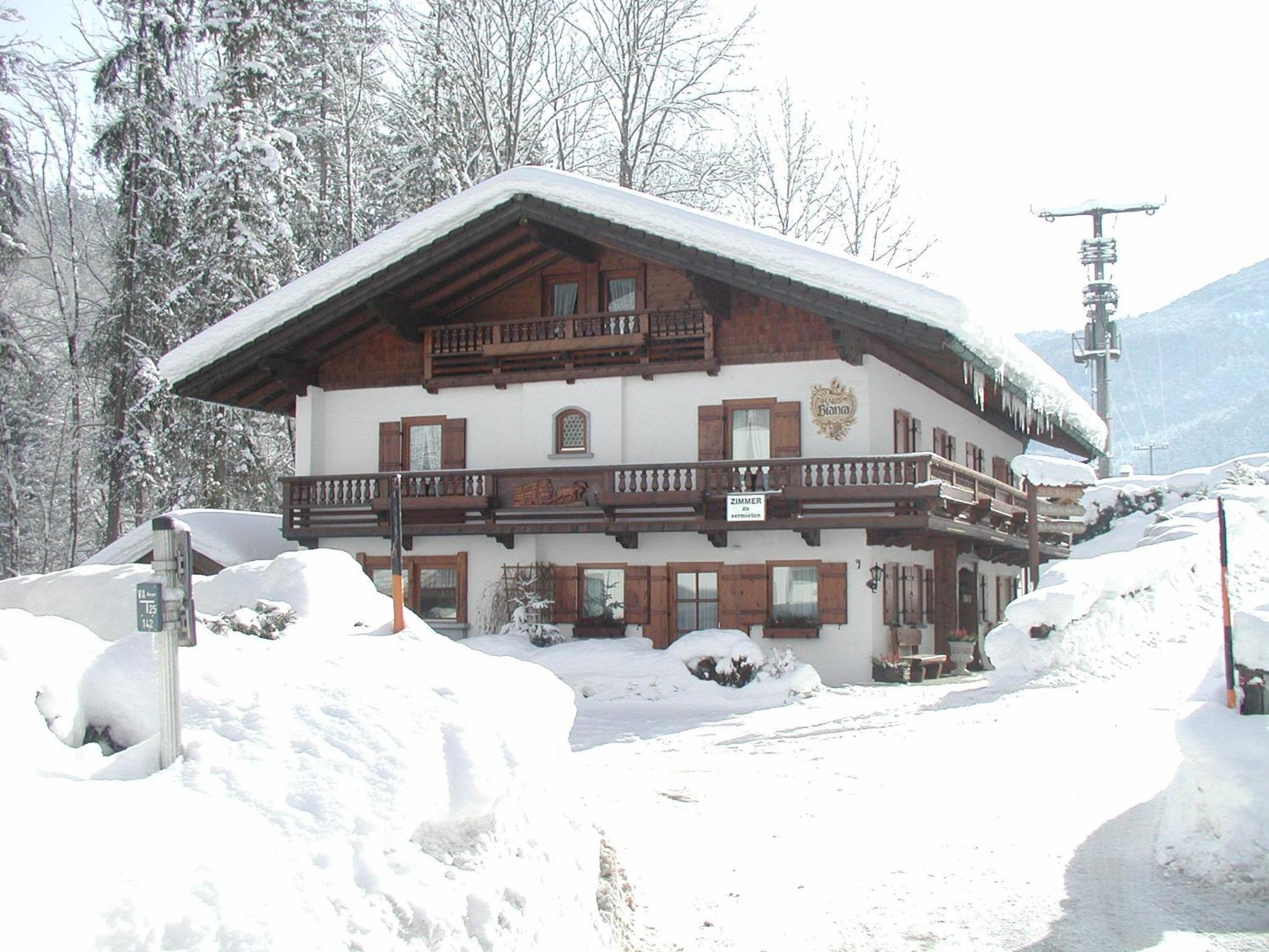 Alpenchalet Bianca view 4