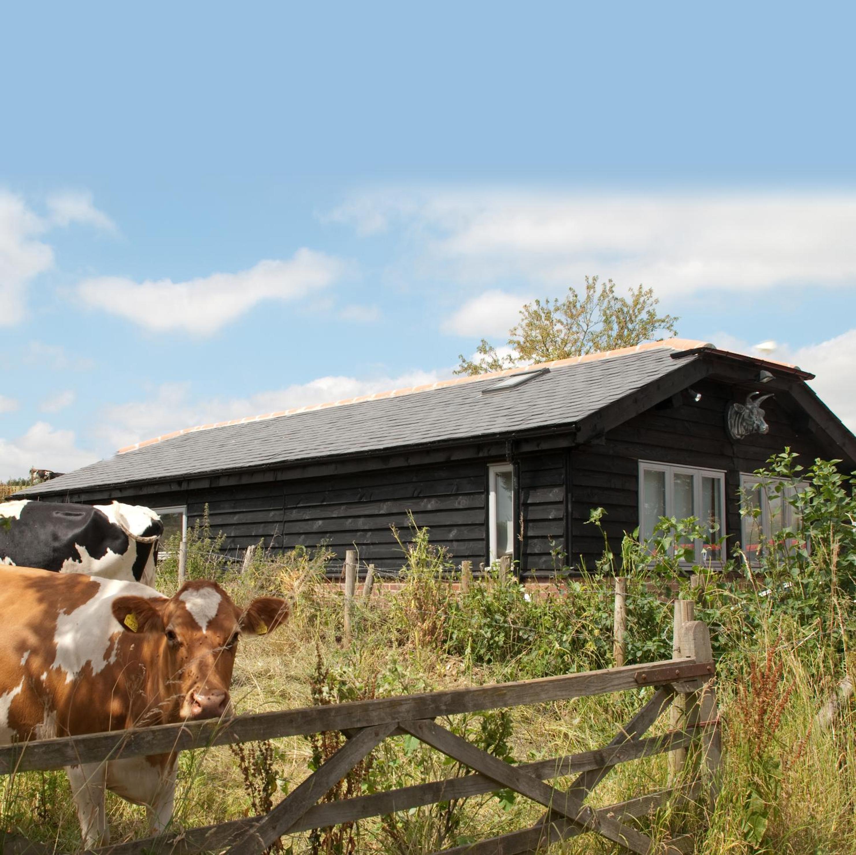 Bull Farm Studios