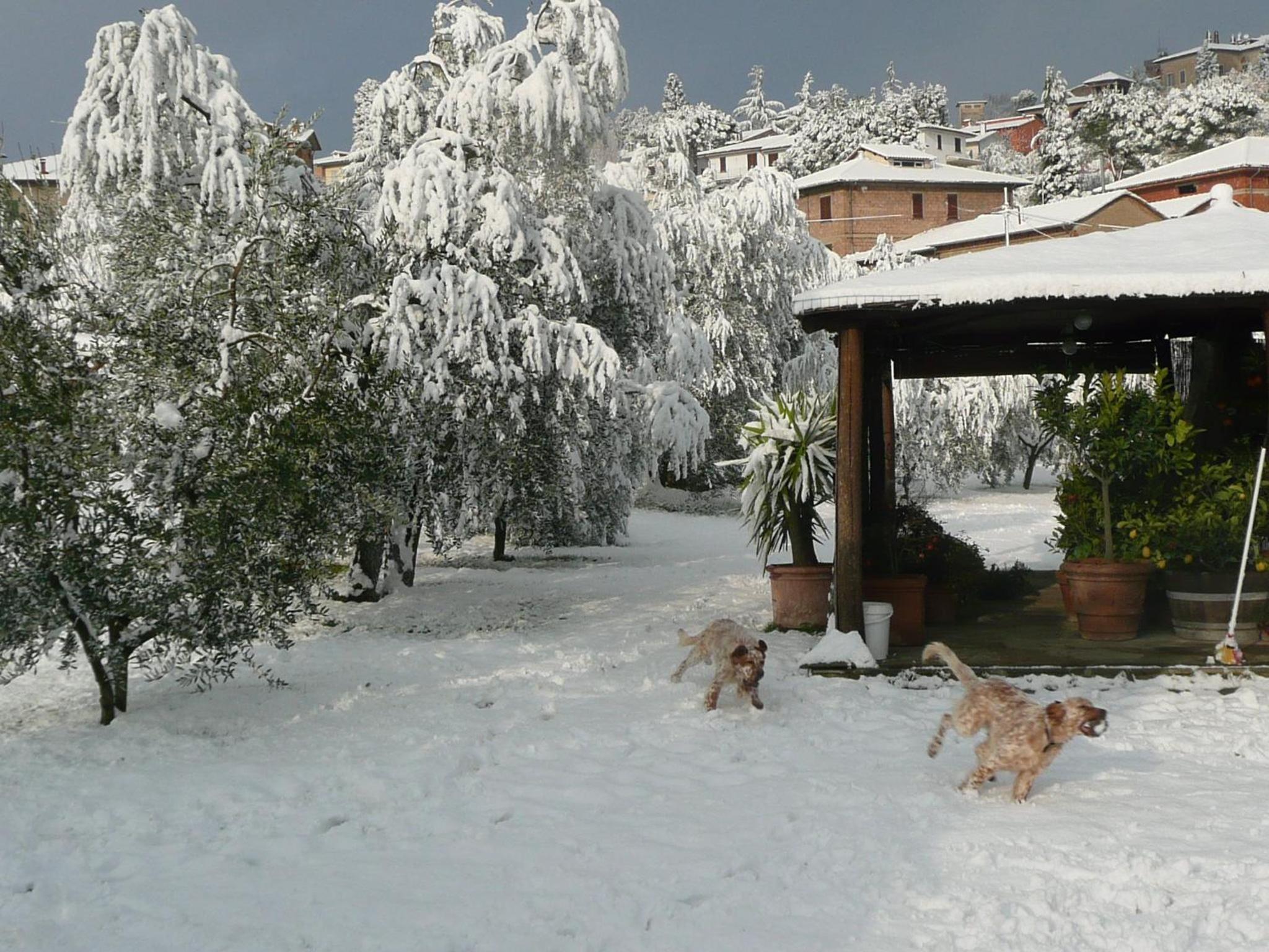 Il Baraccotto view 5