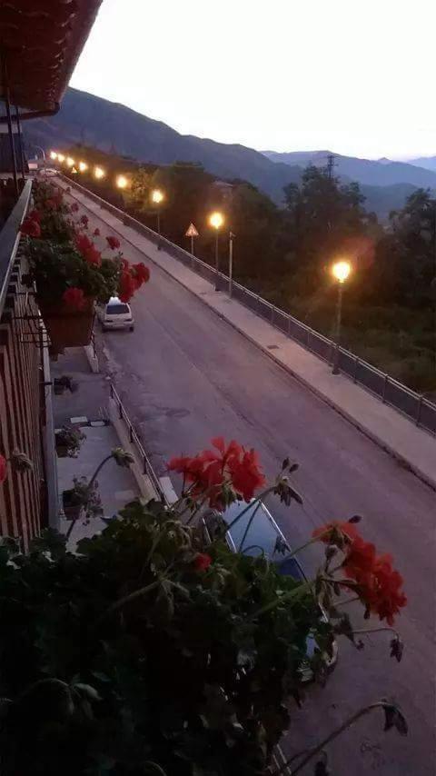Ginepro d'Abruzzo