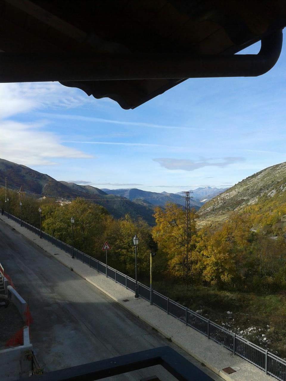 Ginepro d'Abruzzo
