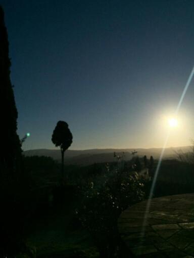 Photo 33