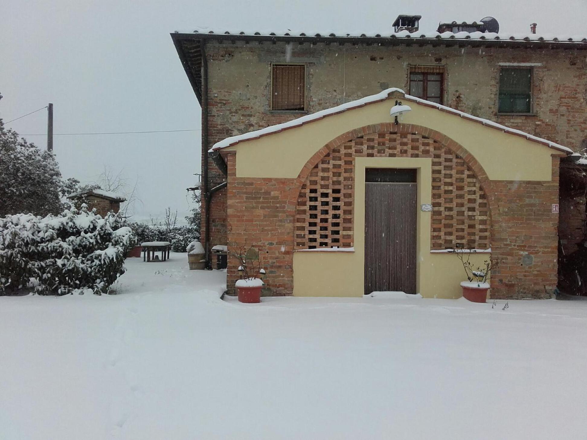 Photo 44