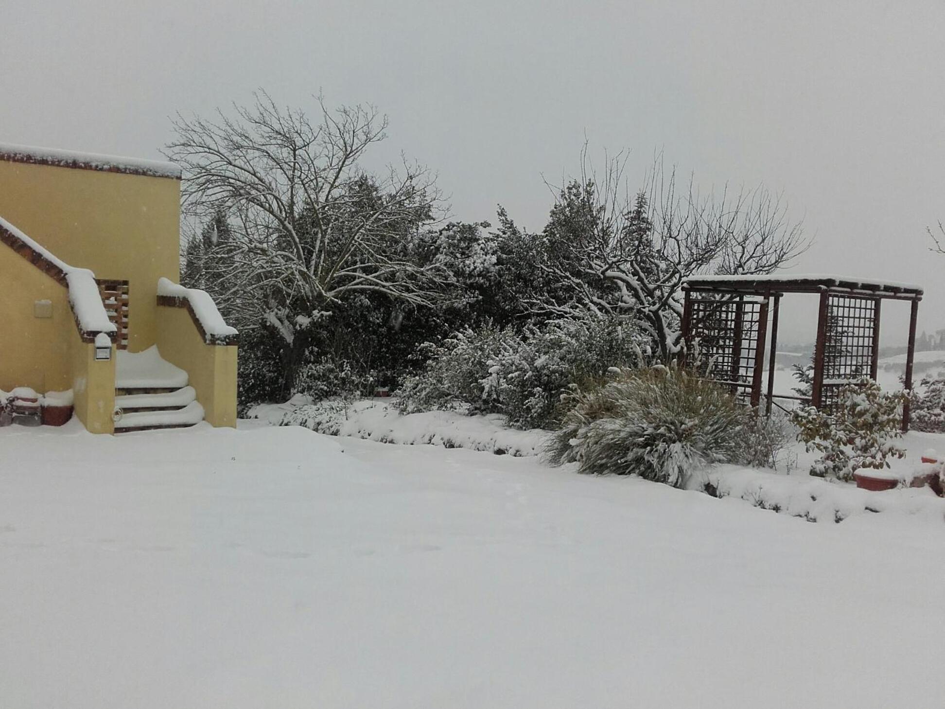 Photo 45