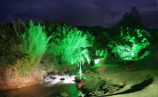 Photo 30