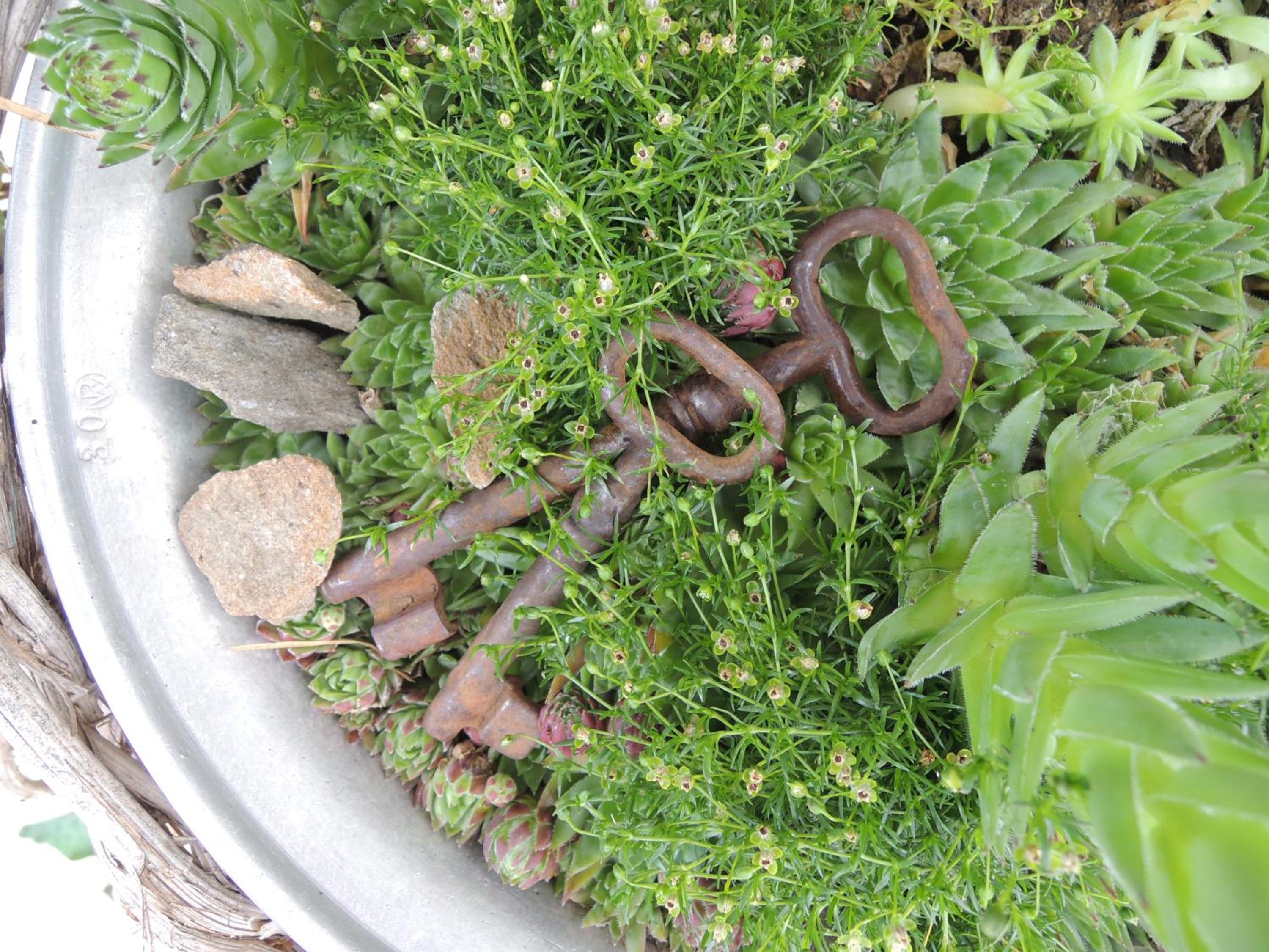 Photo 28