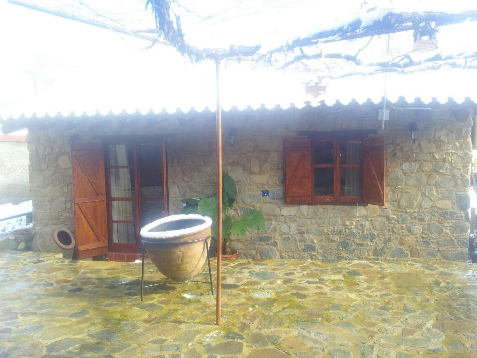 Xenis House