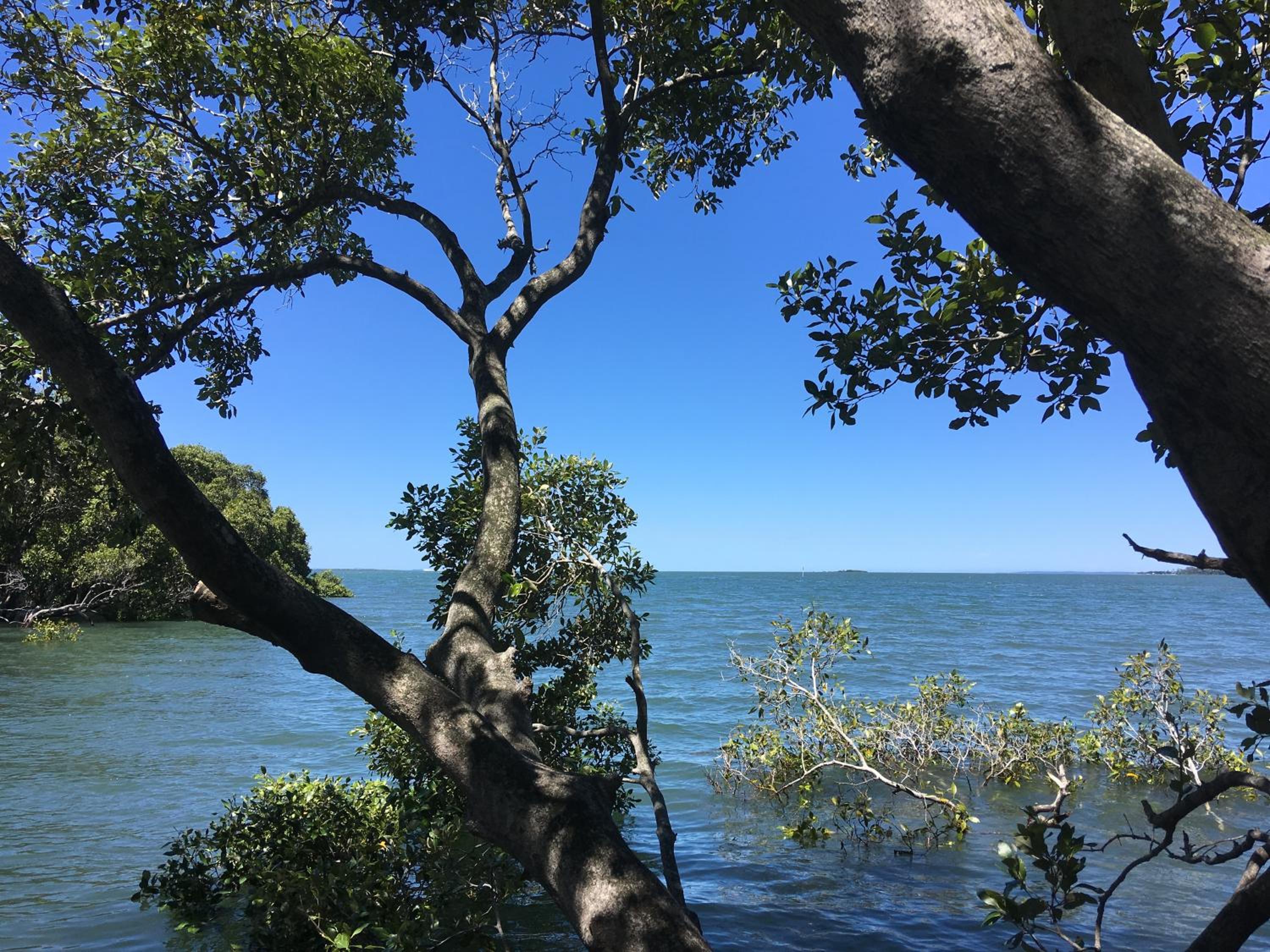 Absolute Waterfront