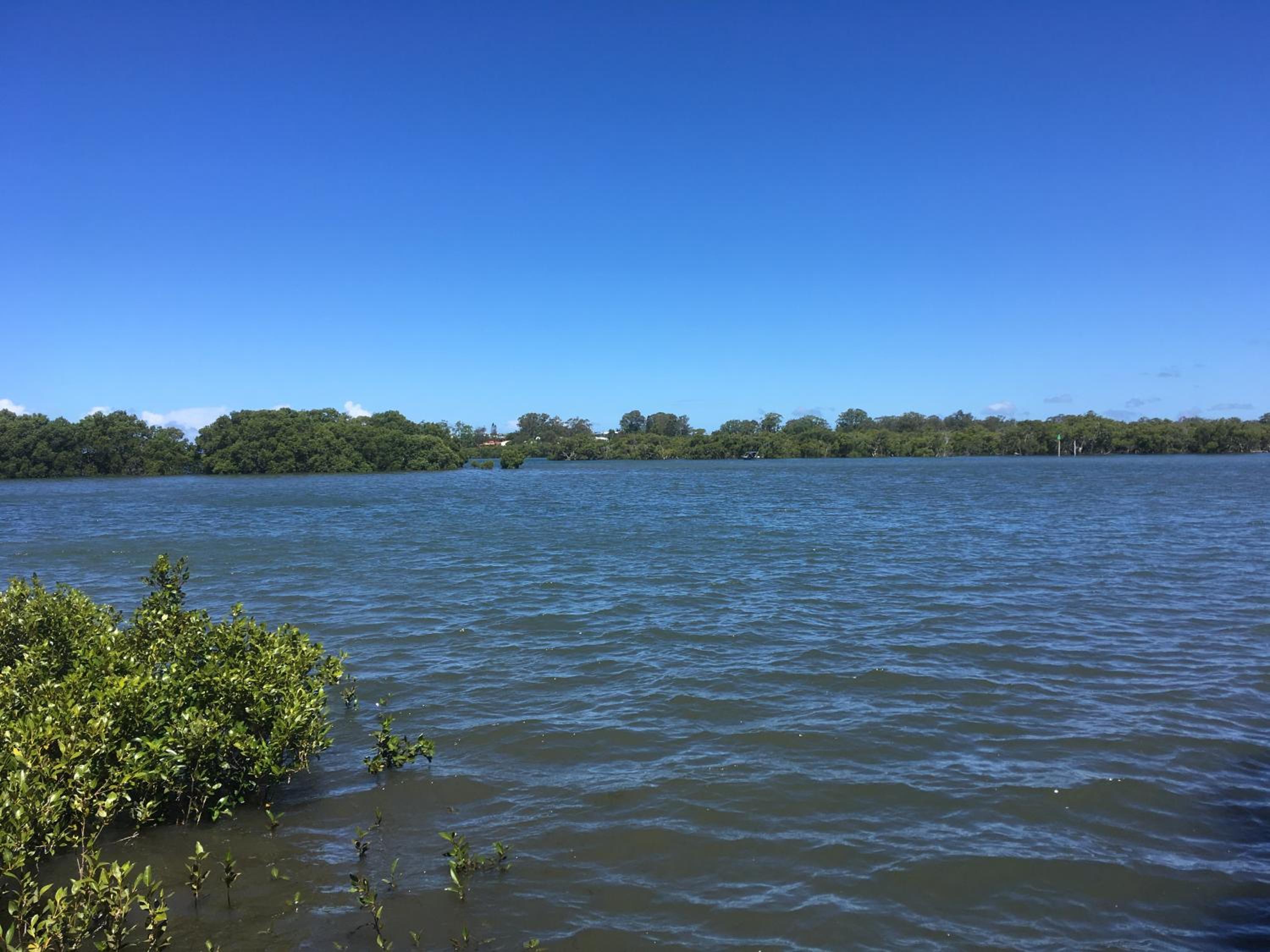 Absolute Waterfront