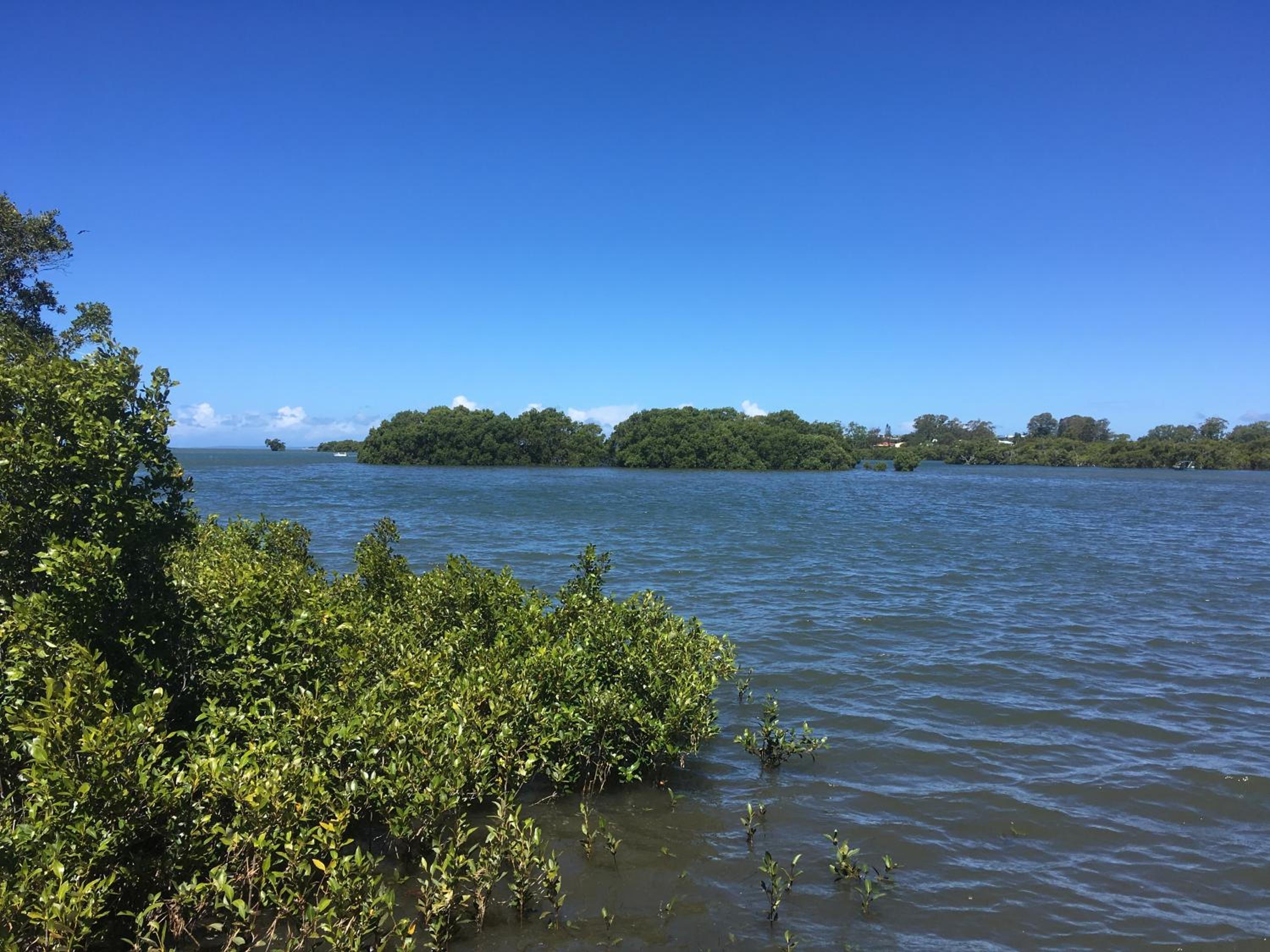 Absolute Waterfront