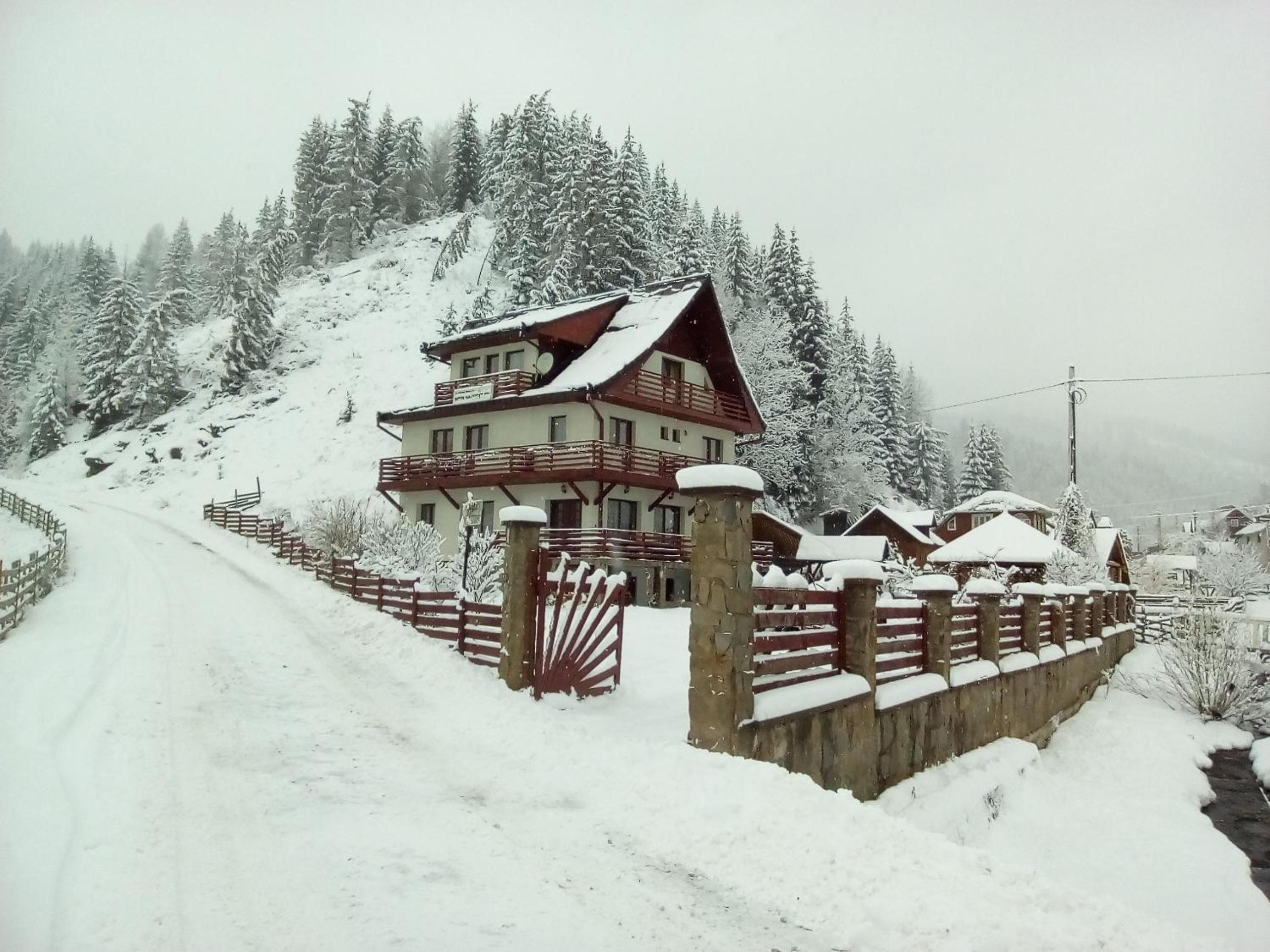 Photo 20