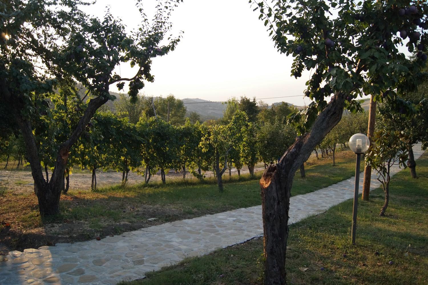 Photo 20