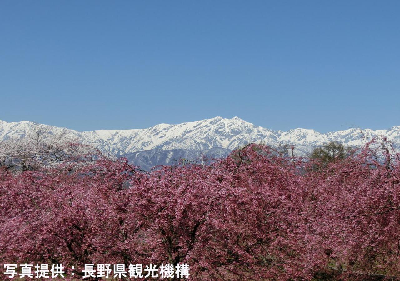 Shioriya