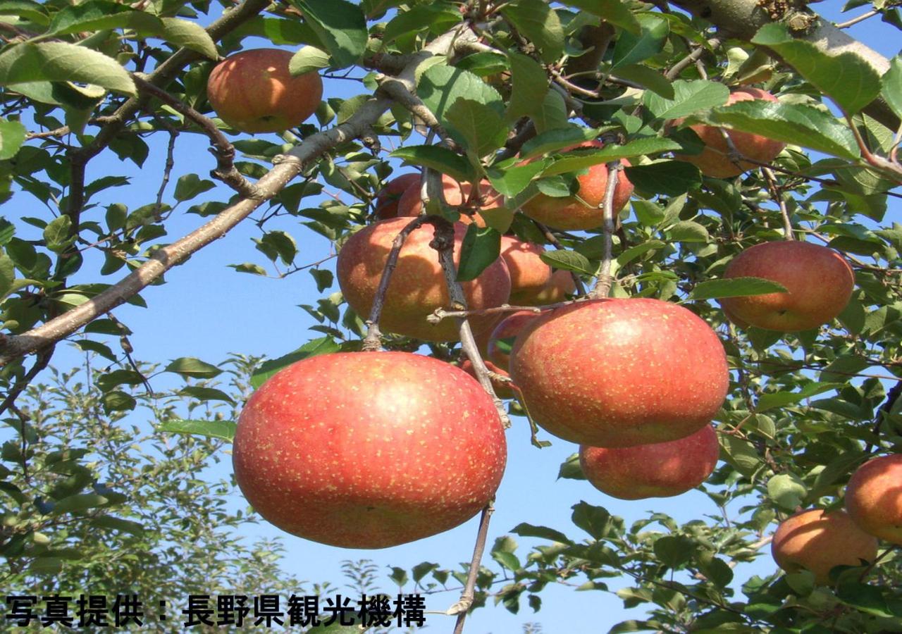 Shioriya