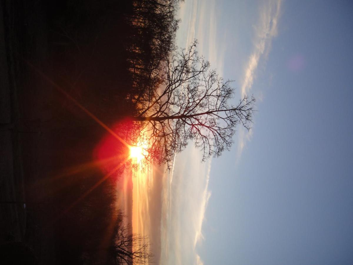 Photo 51