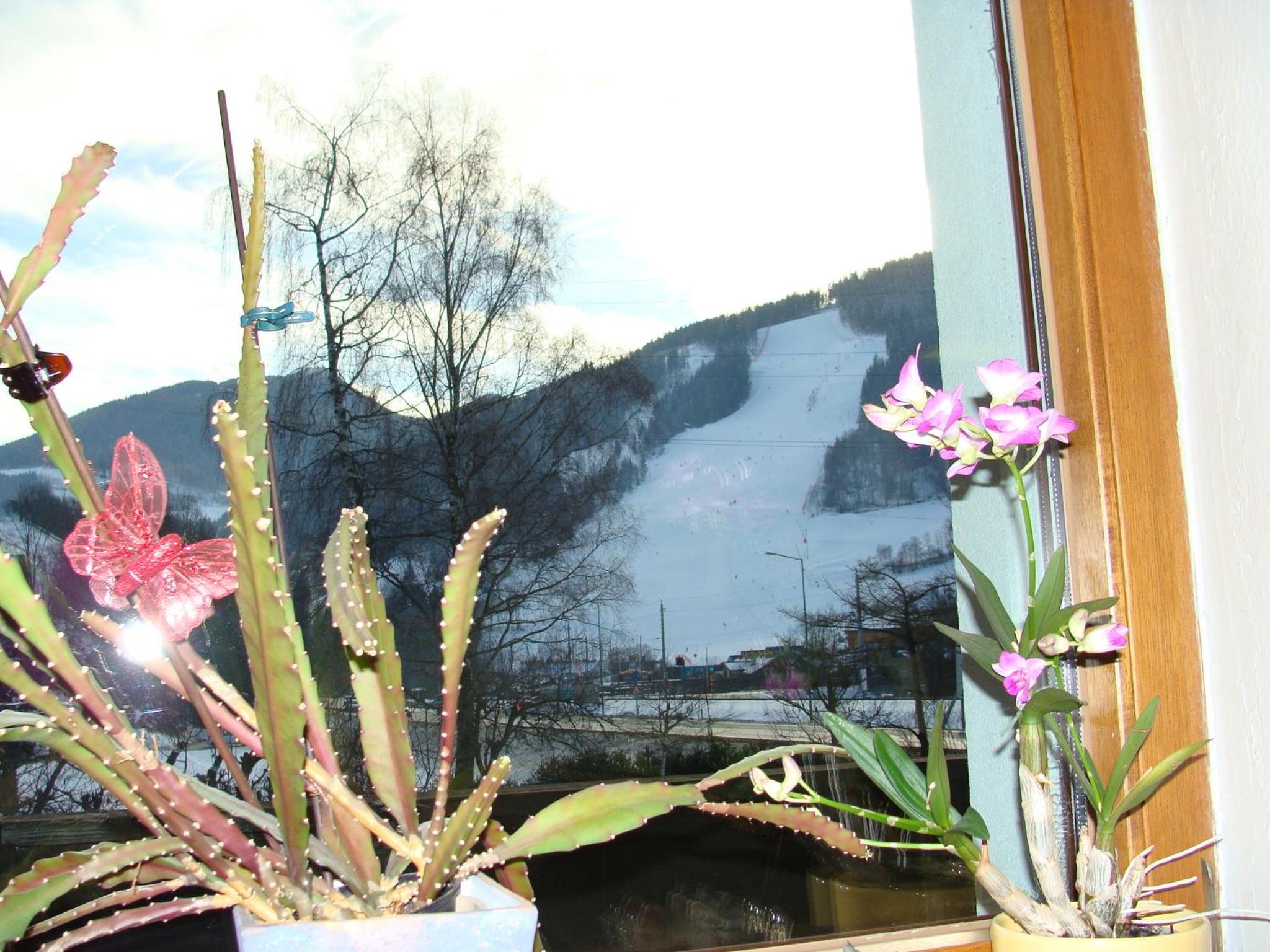 Appartement-Reiteralm