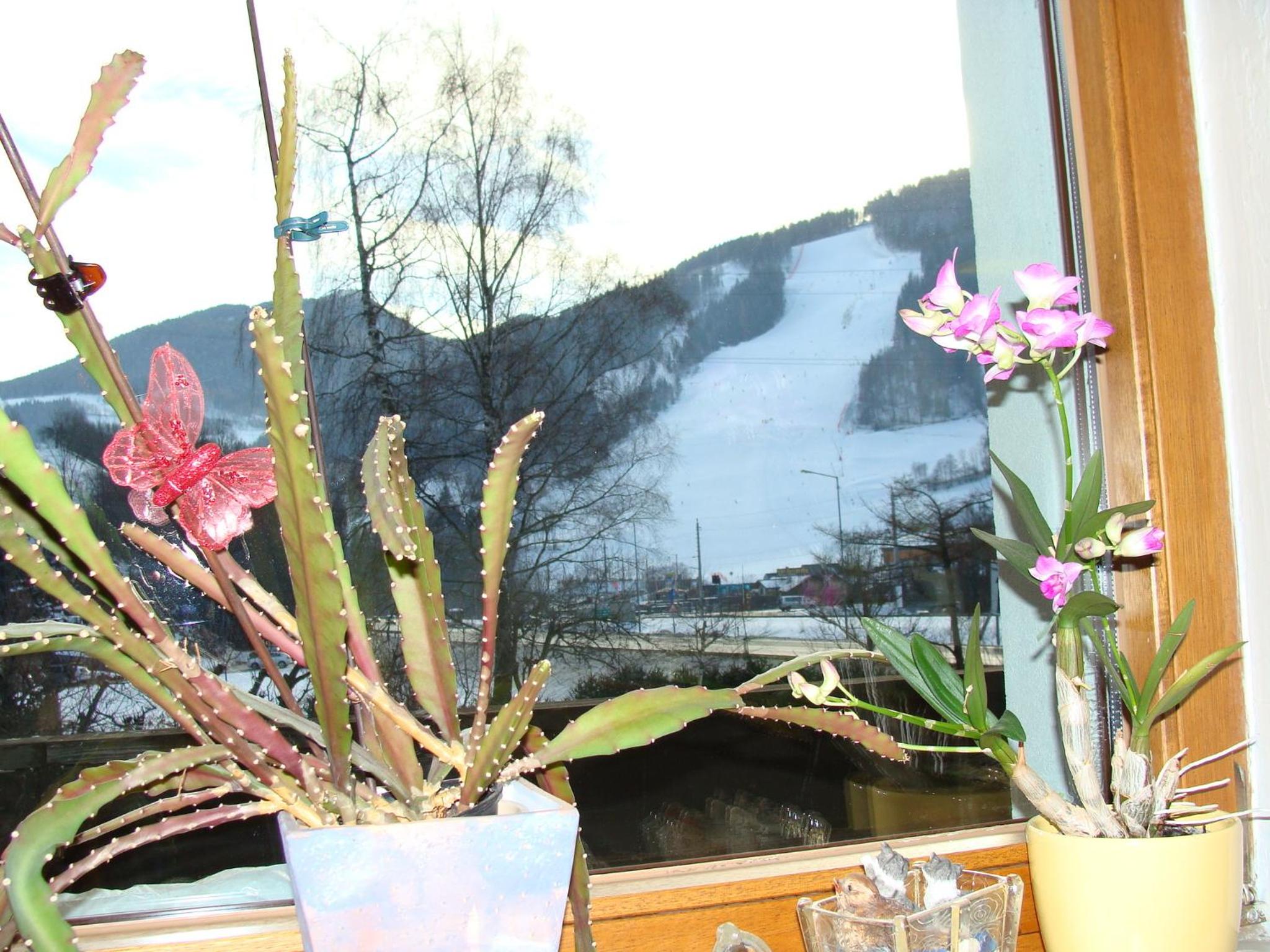 Appartement-Reiteralm