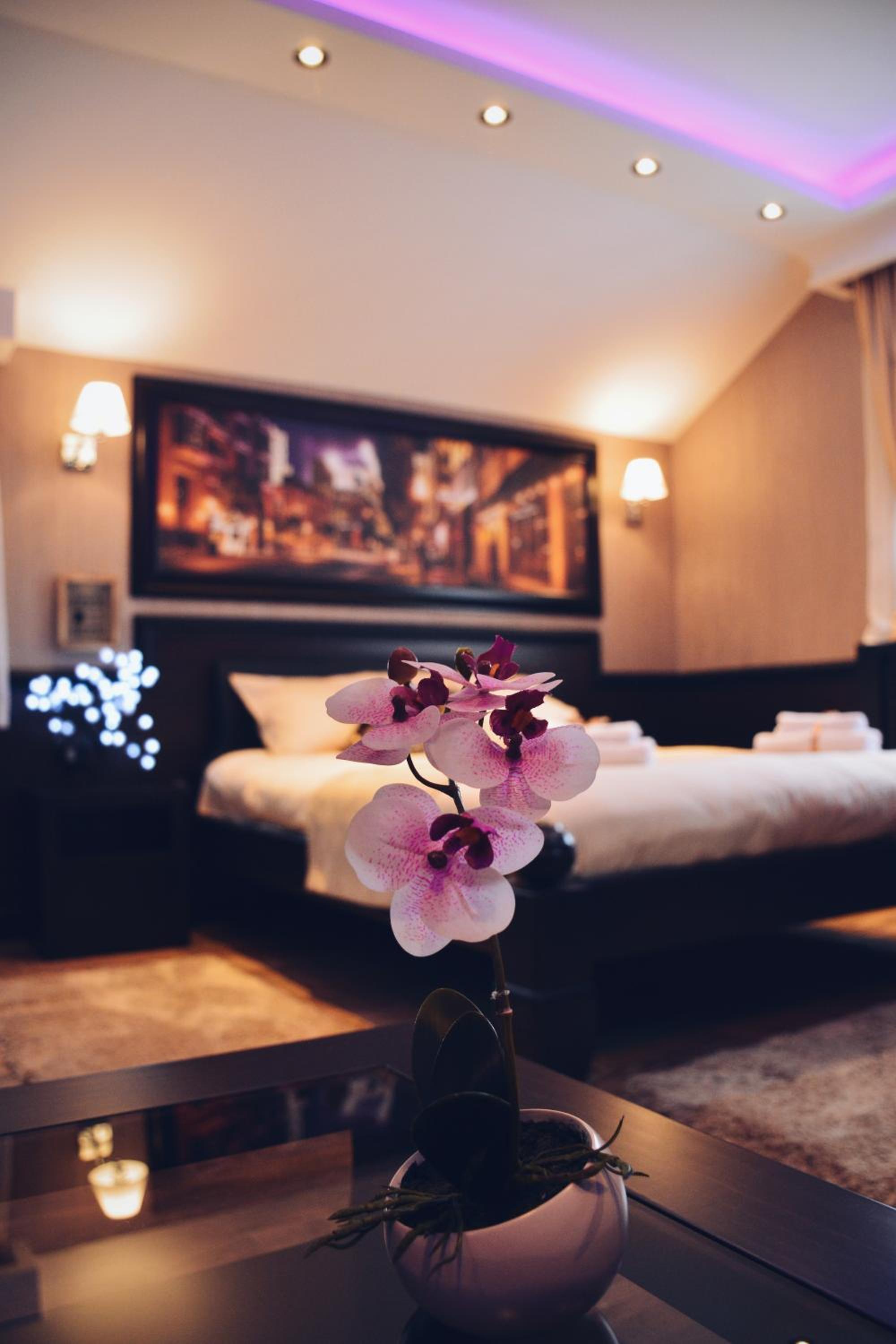 Lux apartmani Beograd