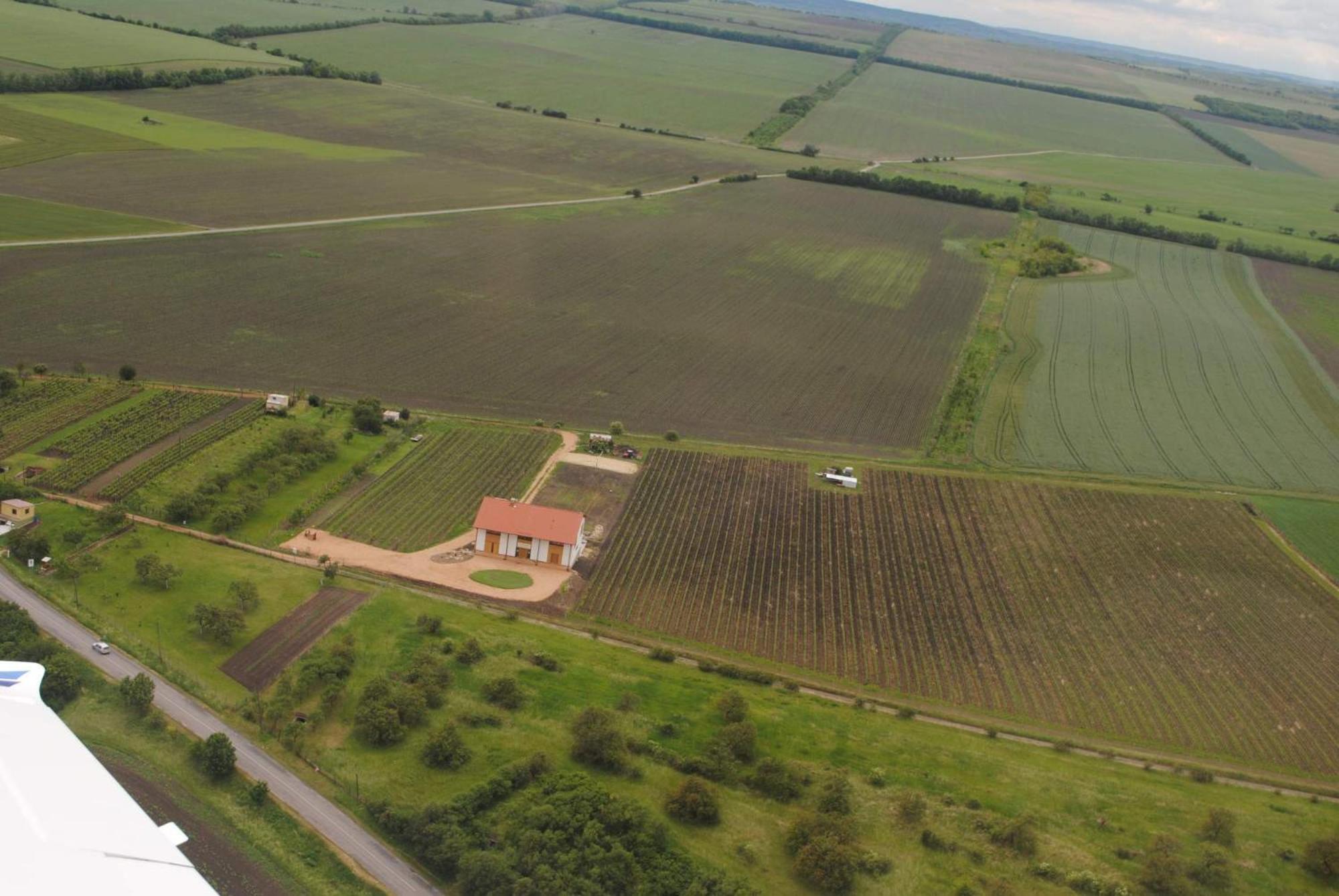 Vinařský Penzion view 2