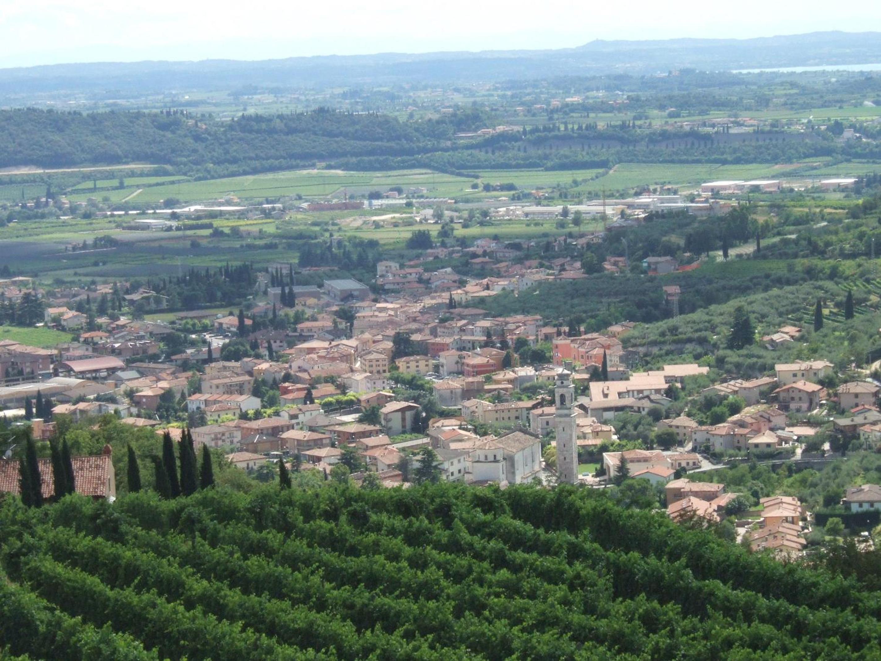 Photo 41