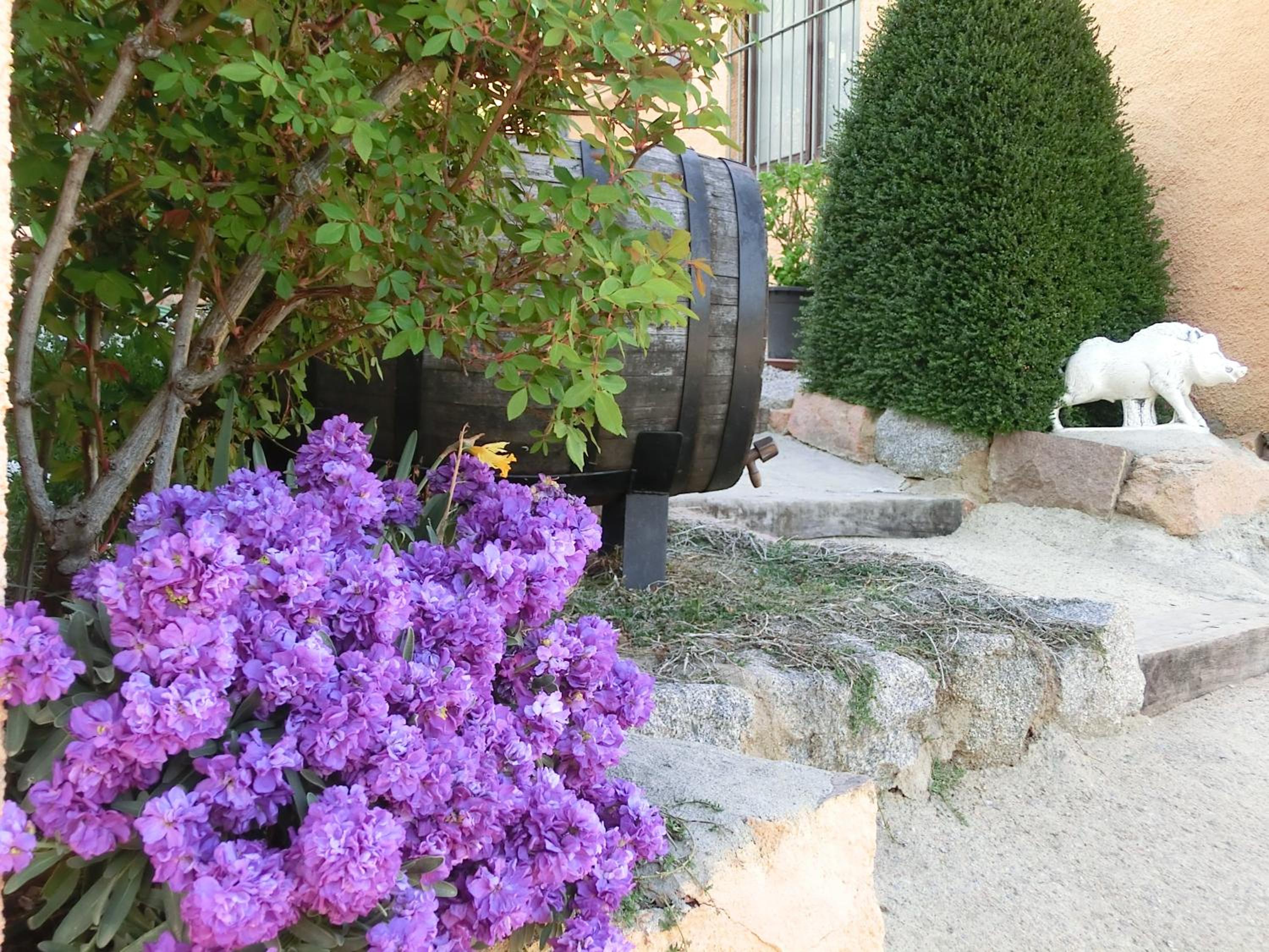 Photo 42