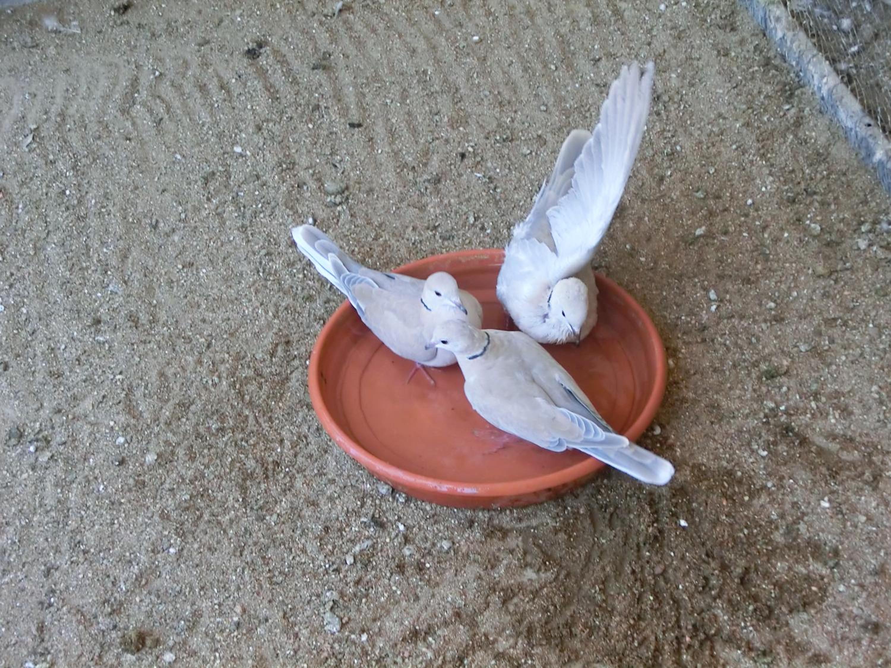 Photo 46