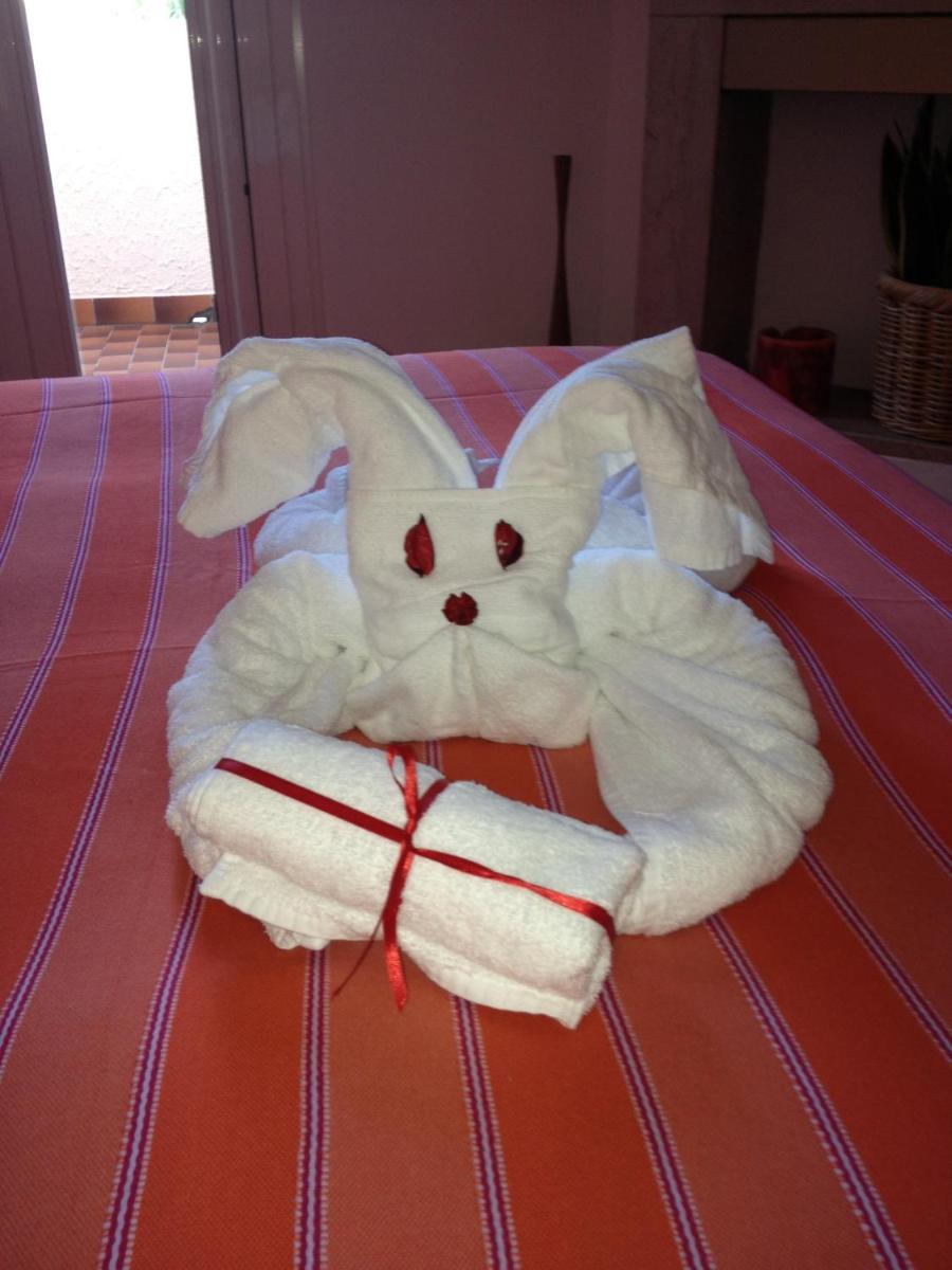 Photo 27