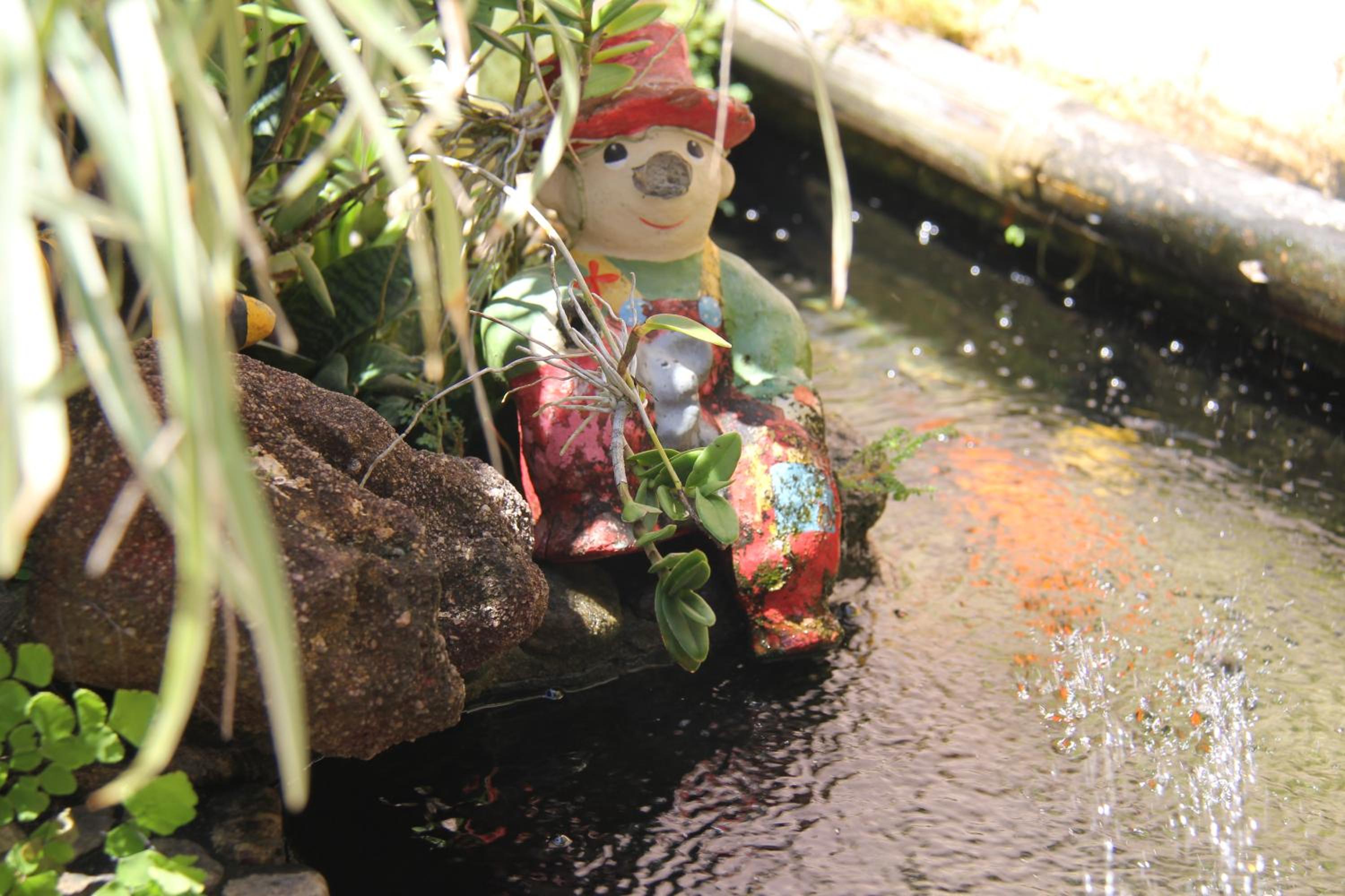Photo 25