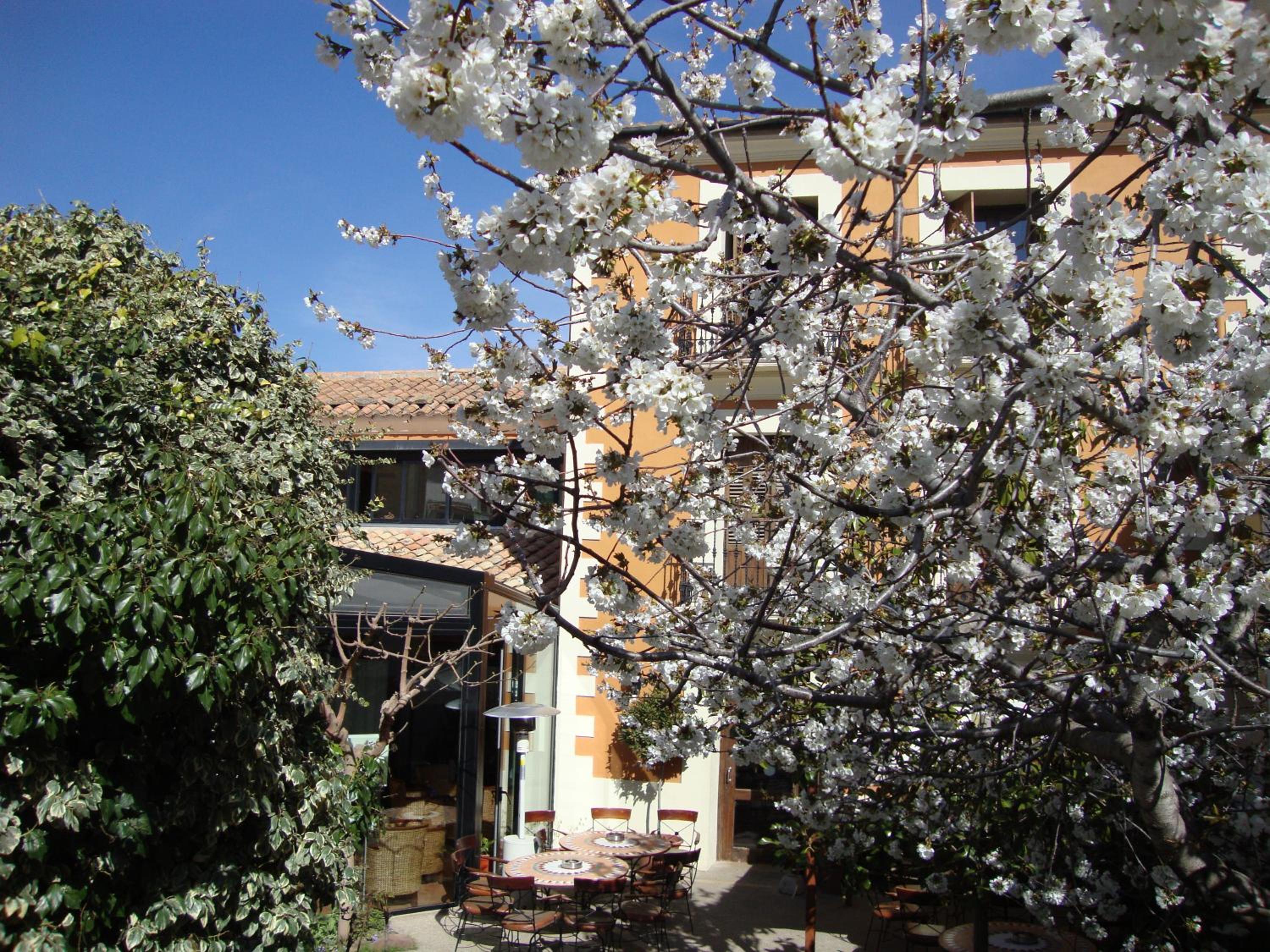 Hotel El Faixero Tradicional