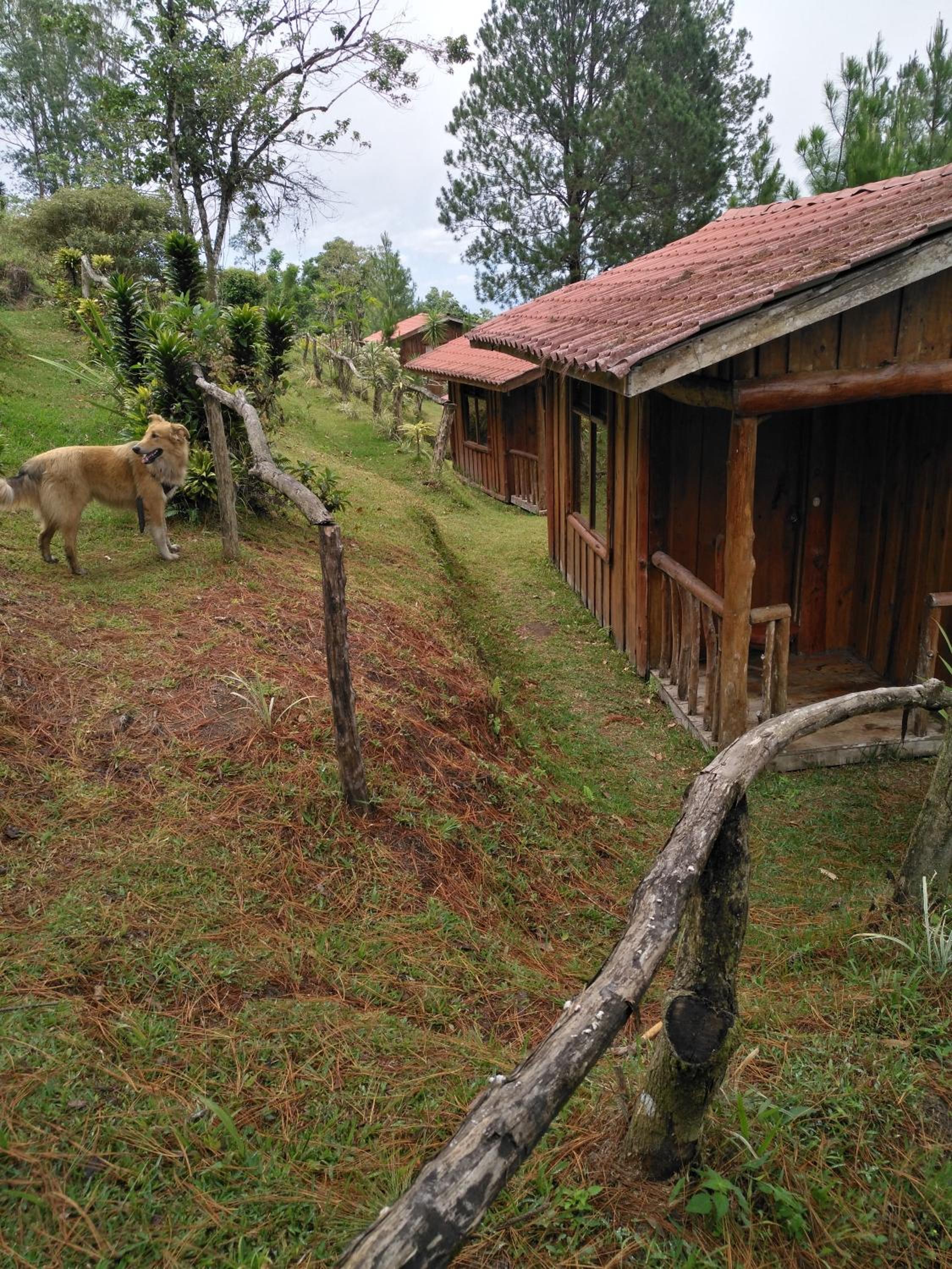 Cabañas Don Camilo Albergue de Montaña