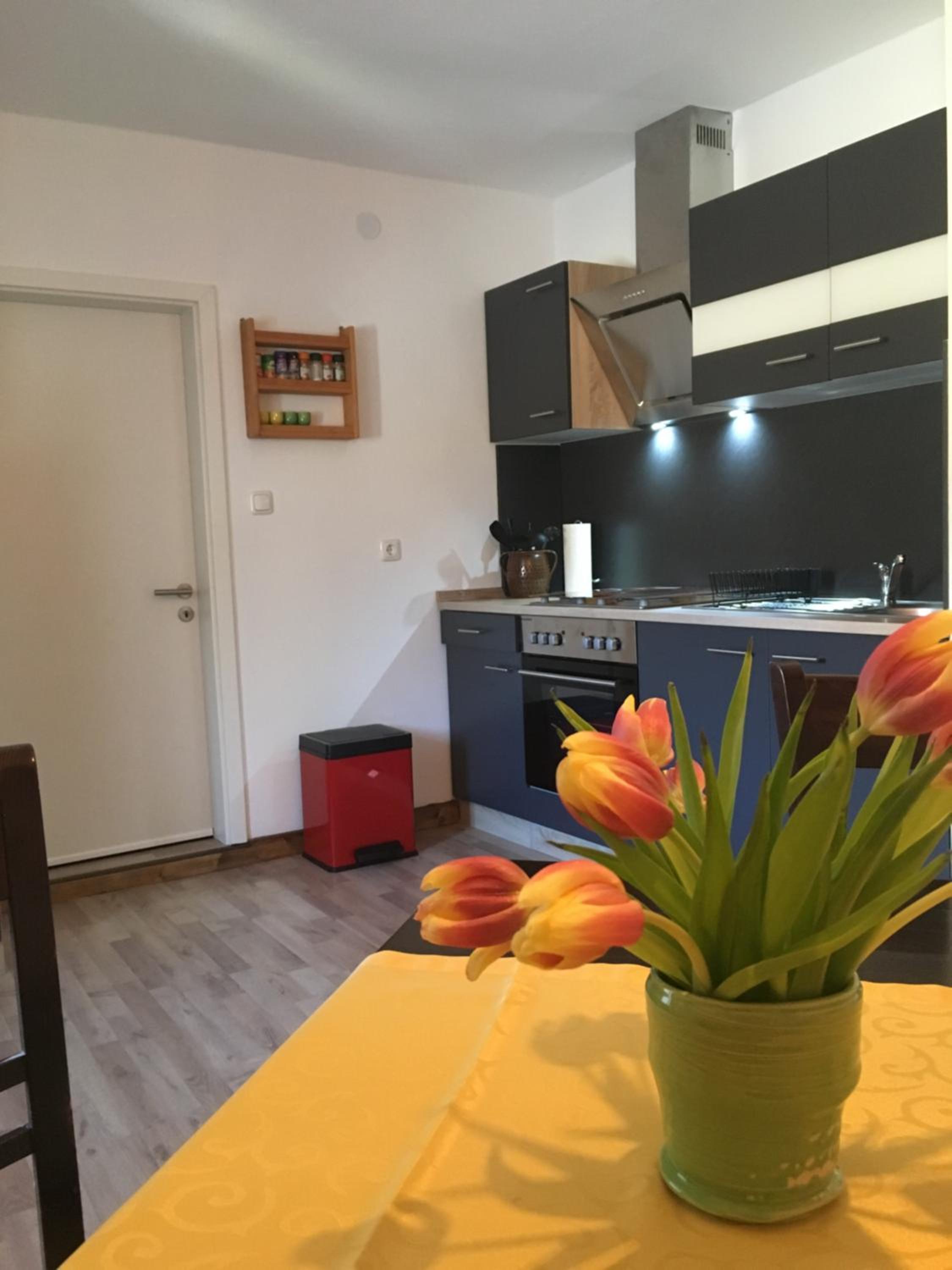 Ferienwohnung Richtermühle view 5