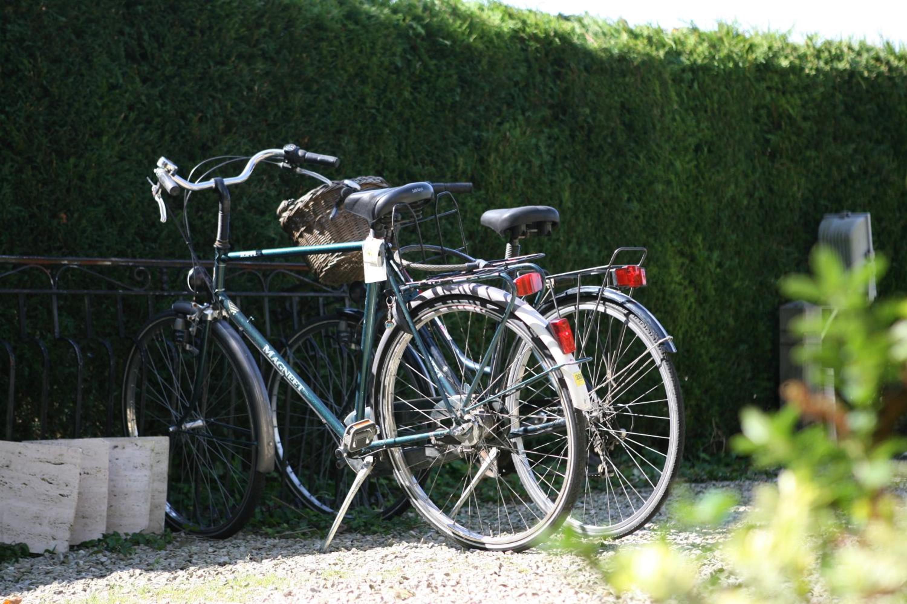 B&B Le Coquin