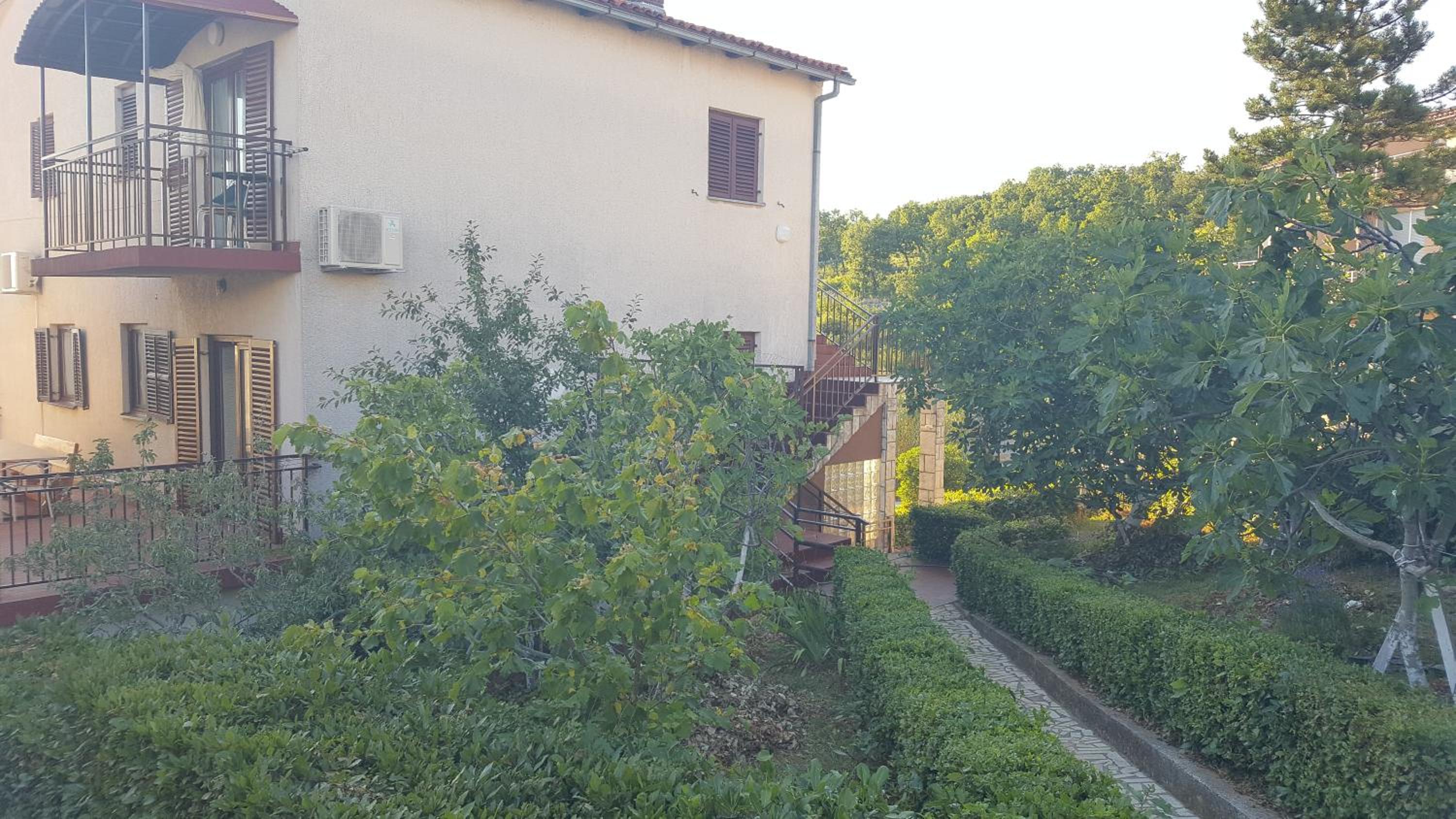 Photo 27