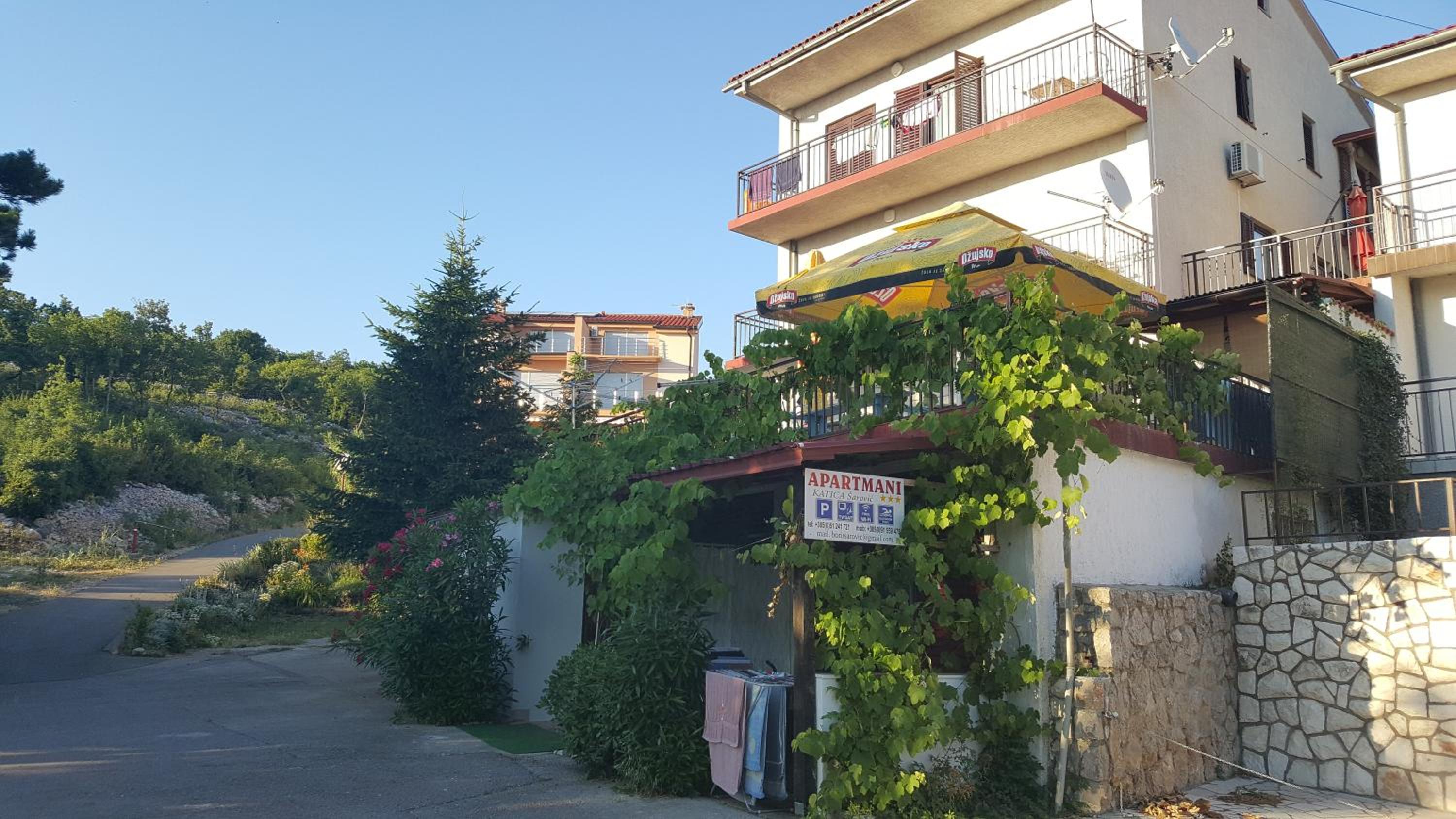 Photo 42