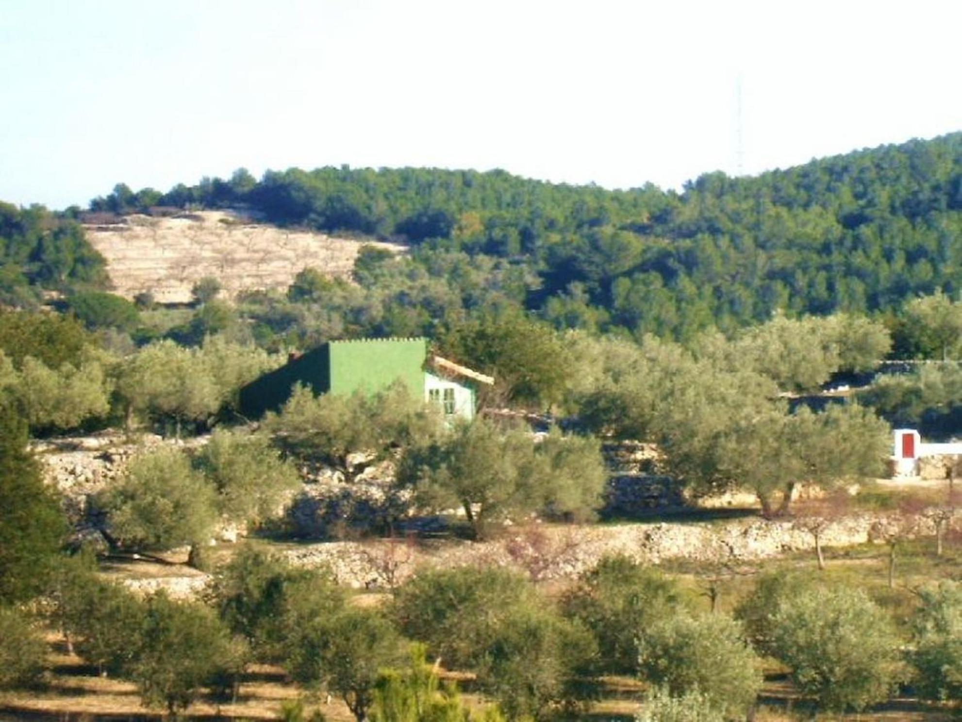 Photo 15