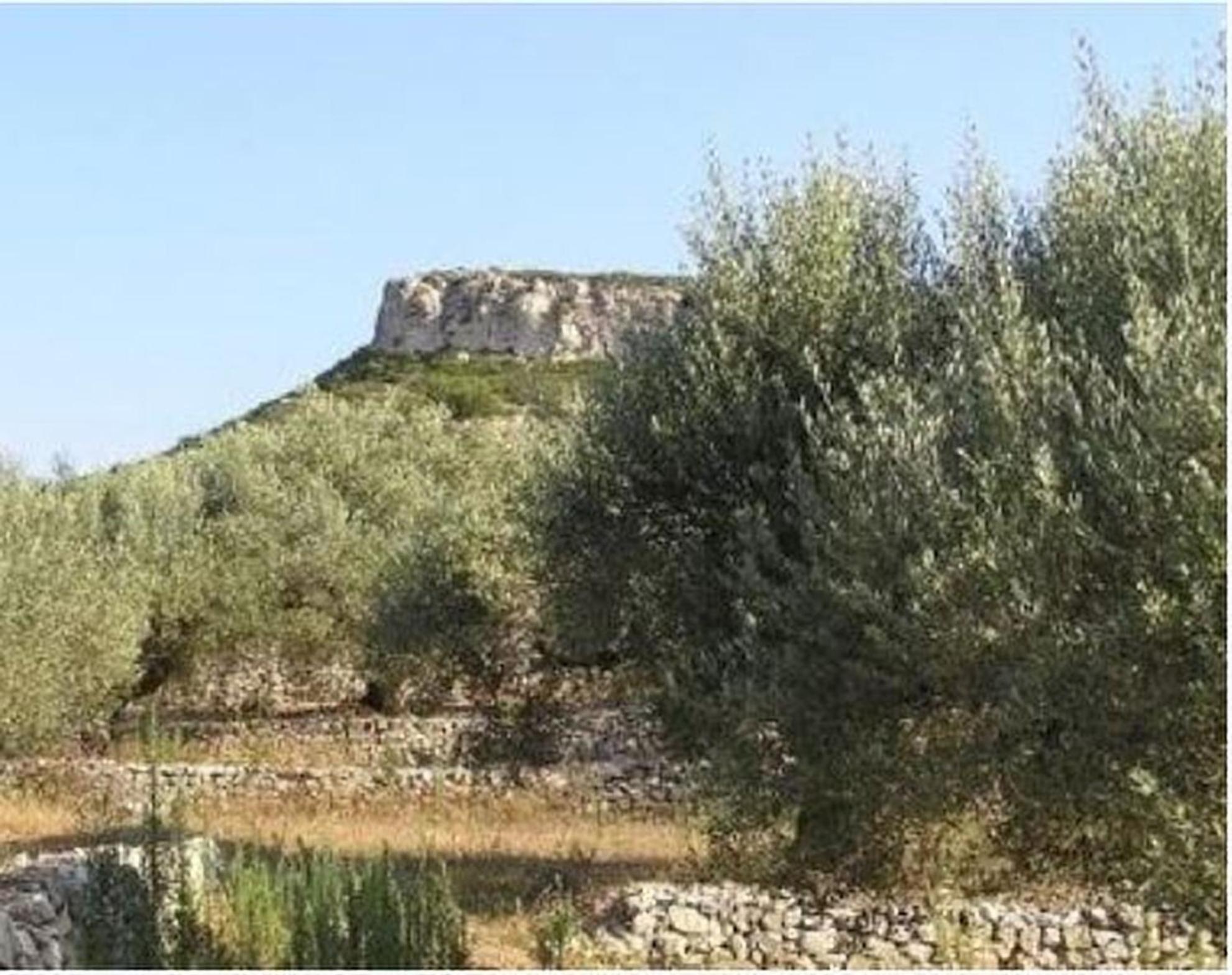 Photo 16