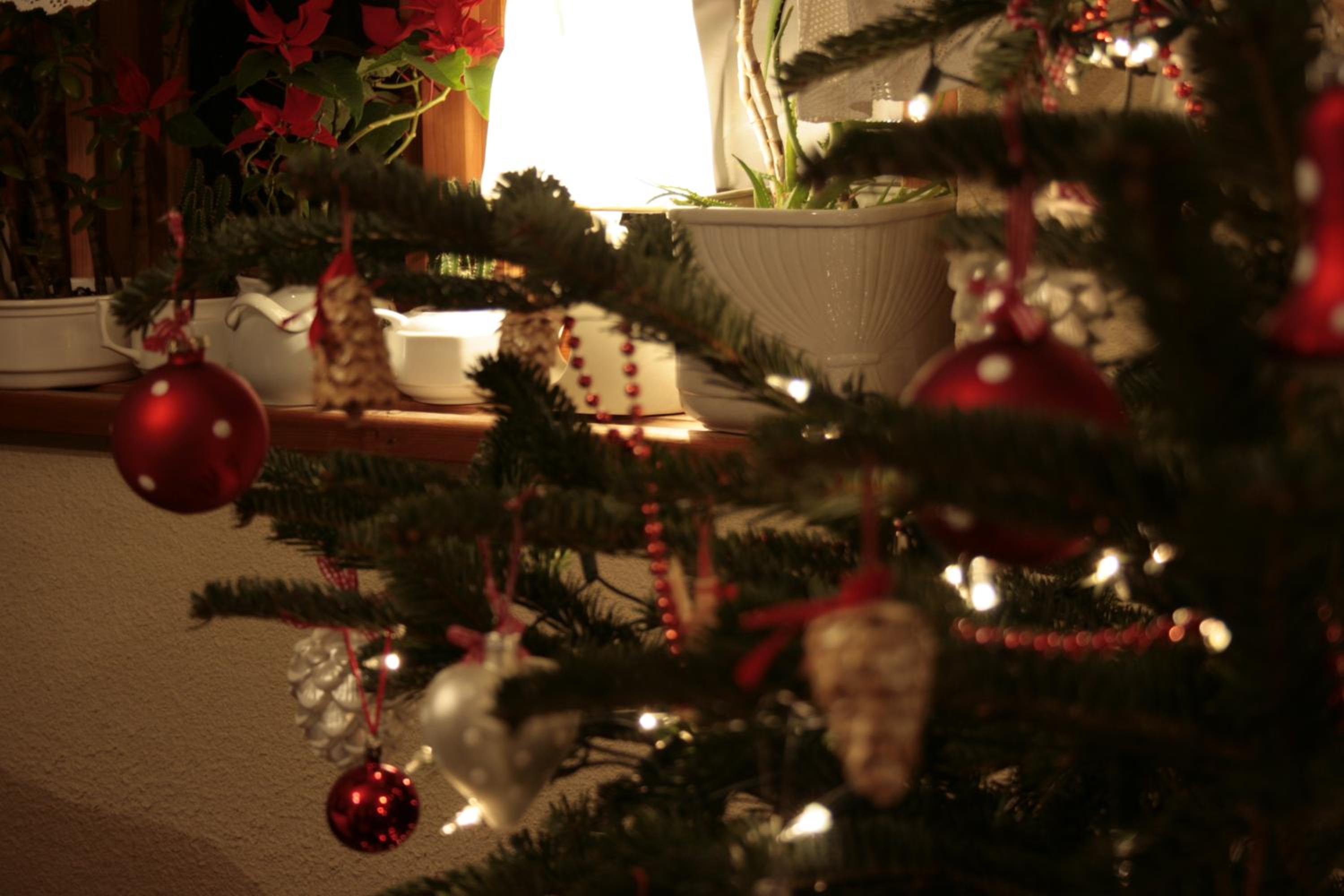 Photo 40