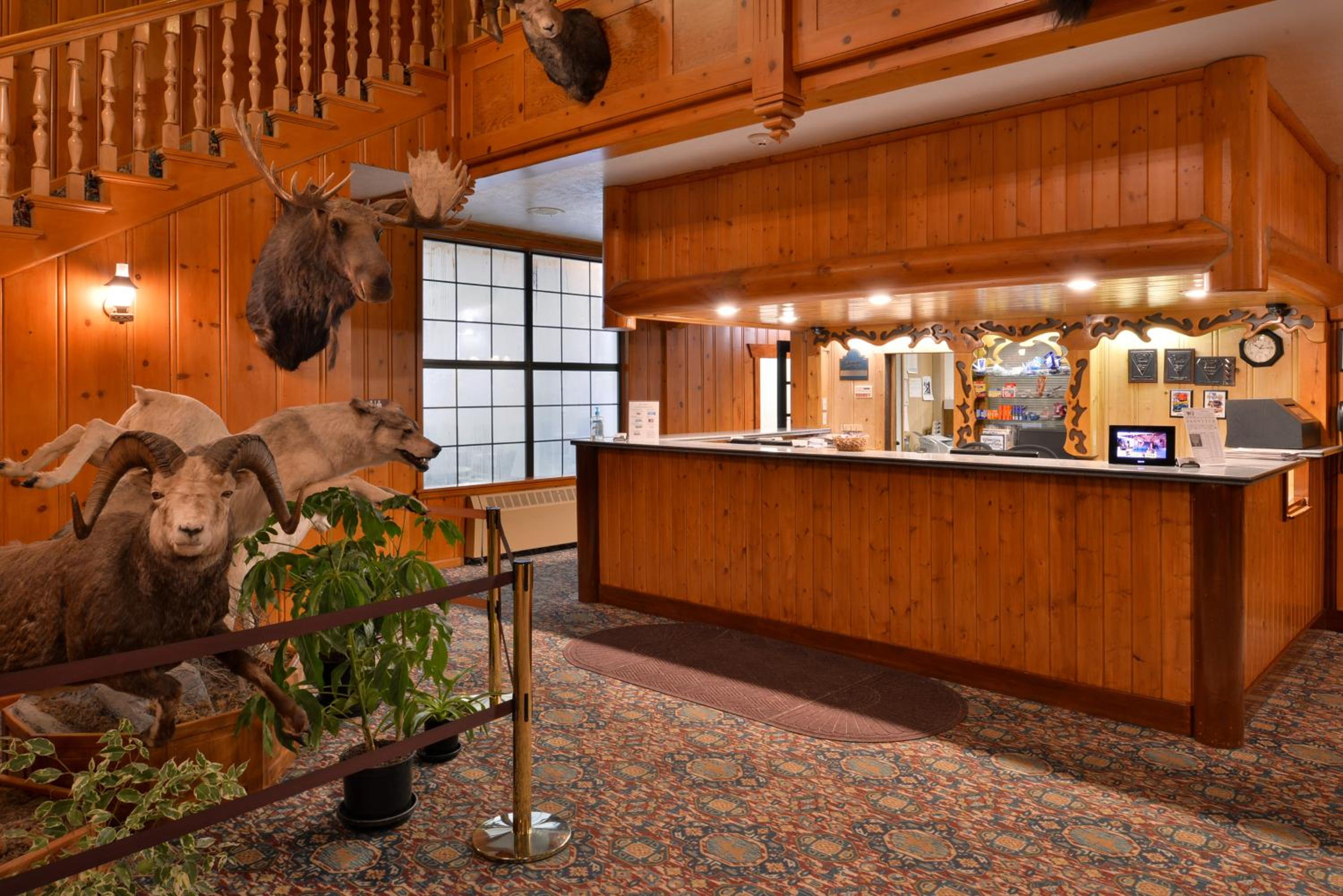 recepcion & lobby