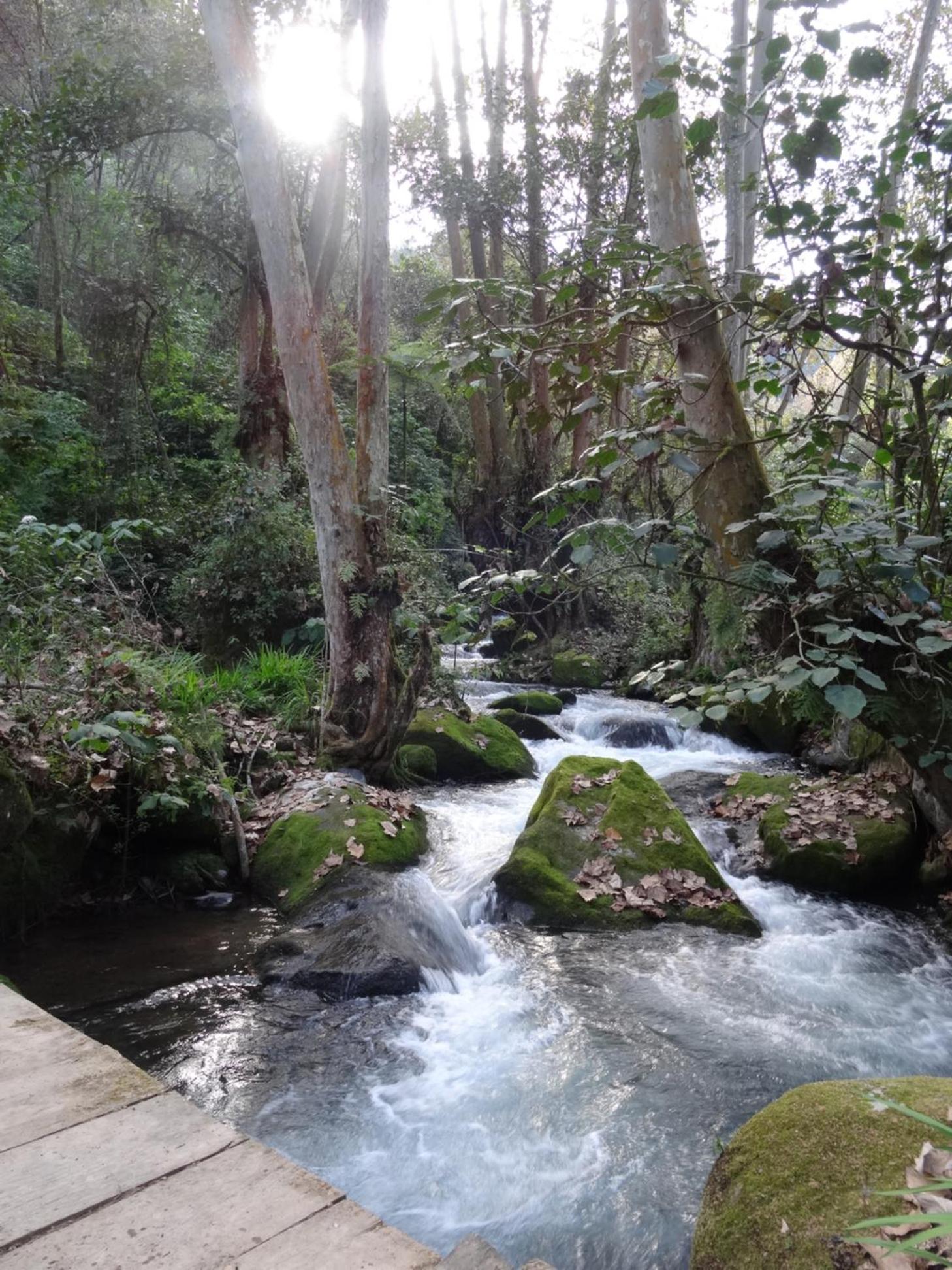Recinto Natural SEMUK view 3